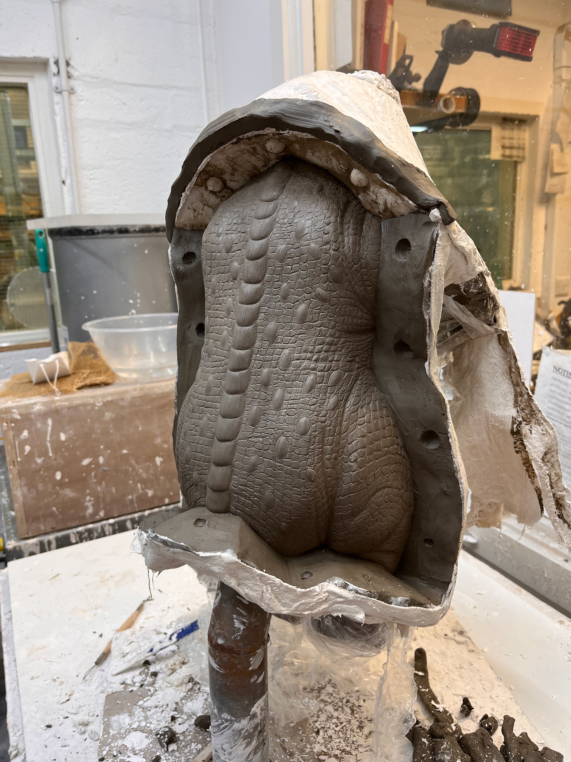 Process - Moulding Body