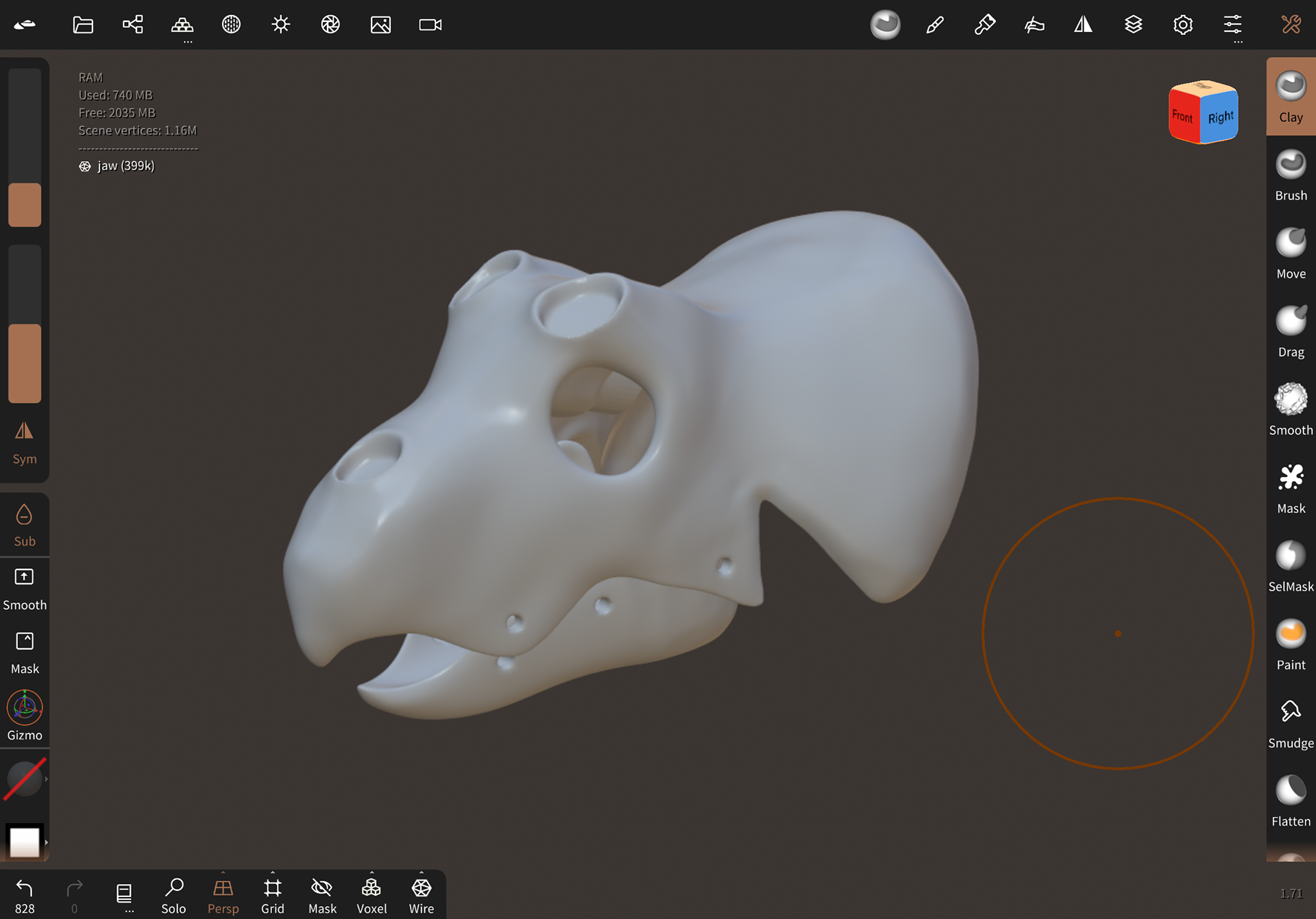 Process - 3D Model of Skull Armature