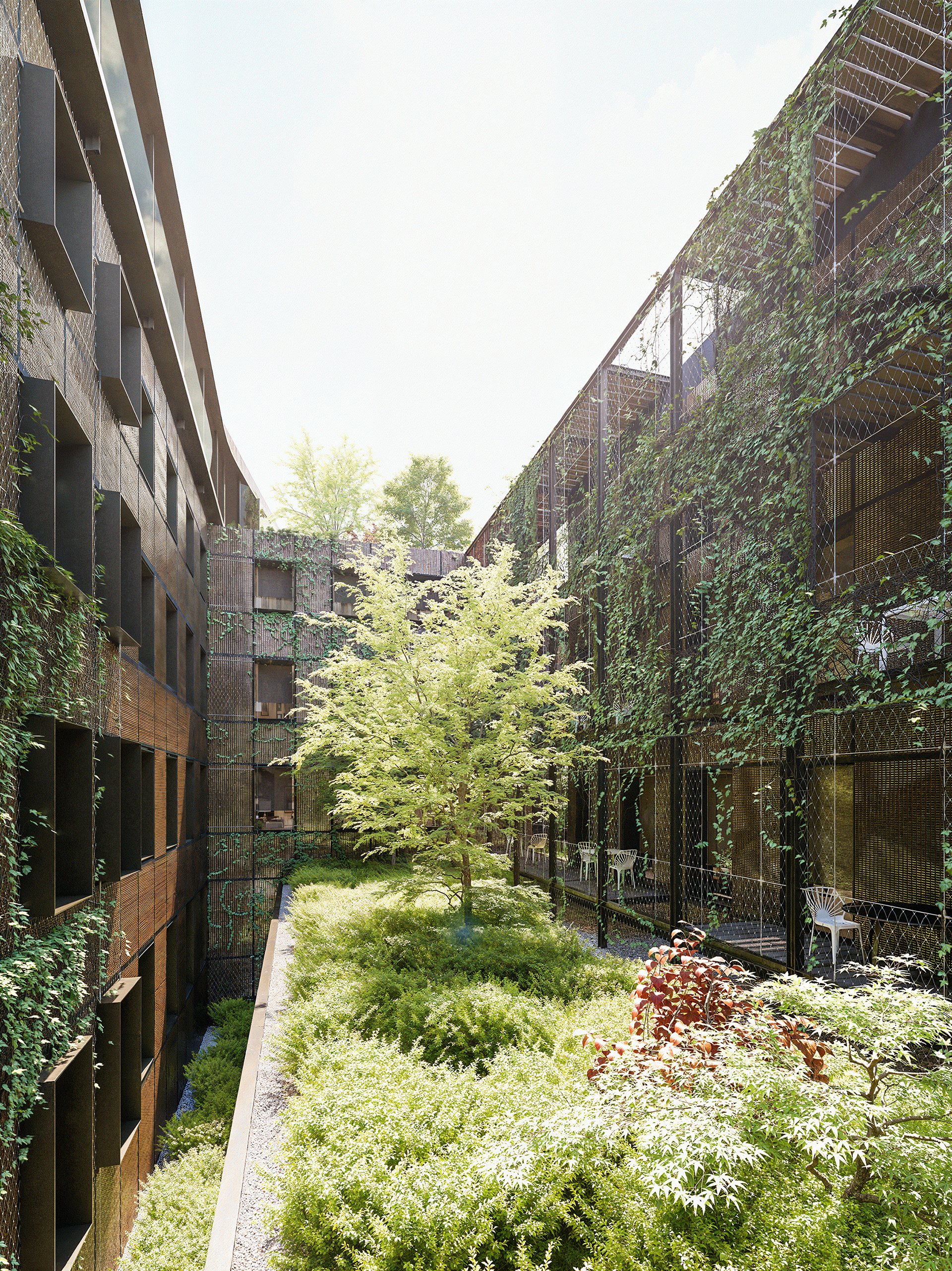 DOM HOTEL COLOGNE  /  © CHRISTOPH INGENHOVEN