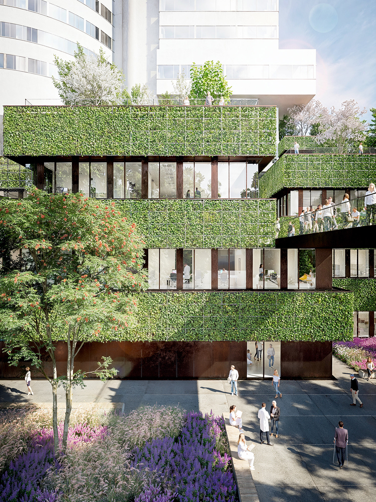 UNIVERSITY HOSPITAL MÜNSTER  /  © CHRISTOPH INGENHOVEN