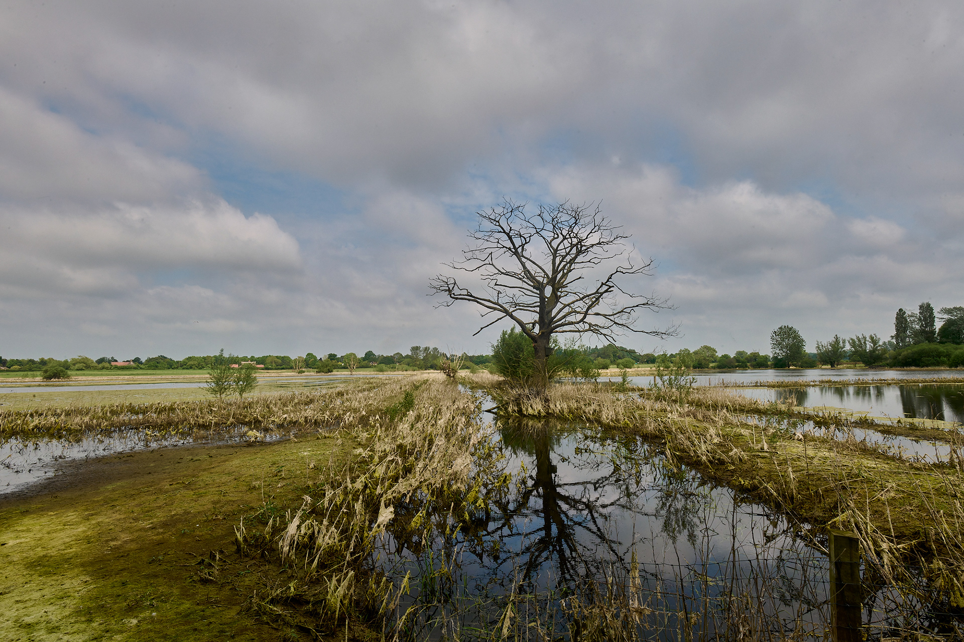 Dickleburgh Moor
