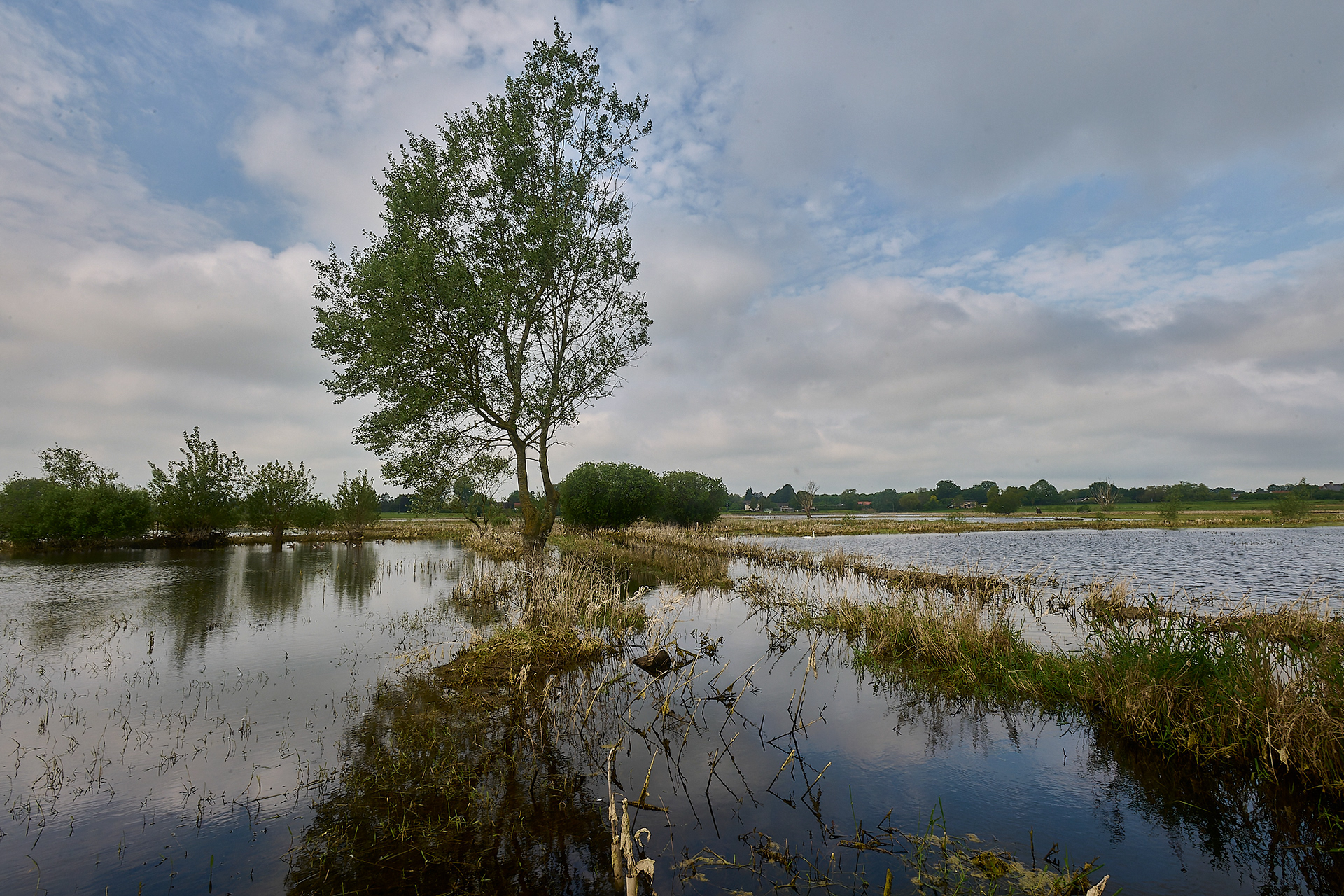 Dickleburgh Moor