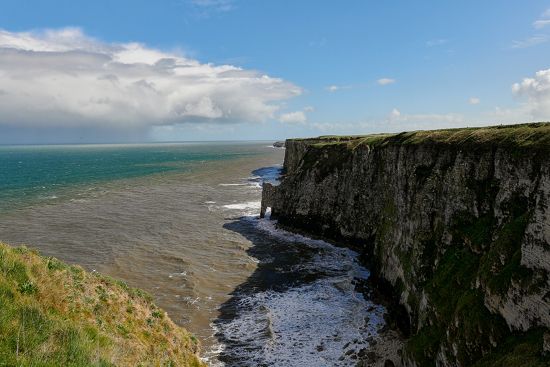 Bempton Cliffs
