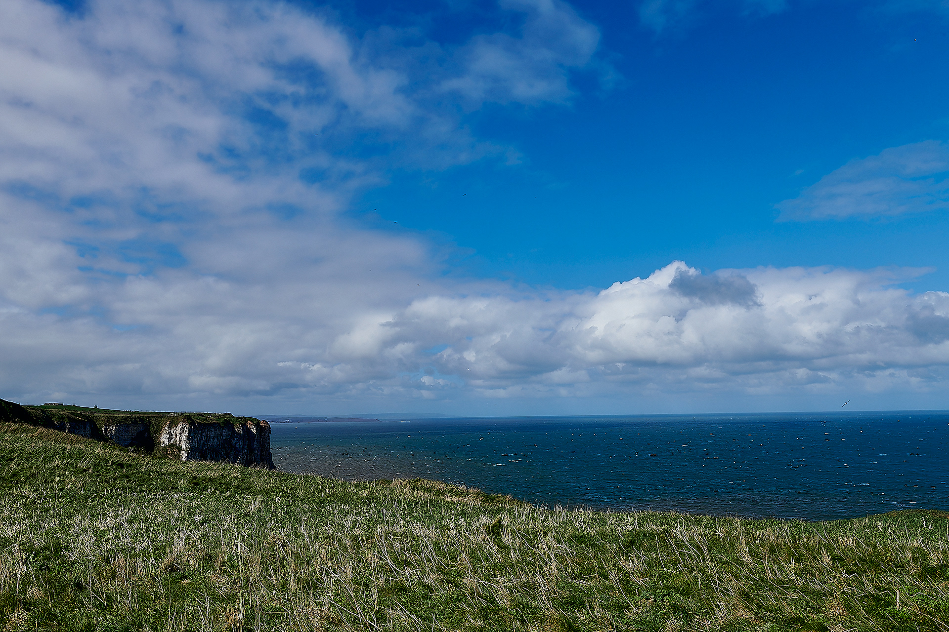 Bempton Cliffs