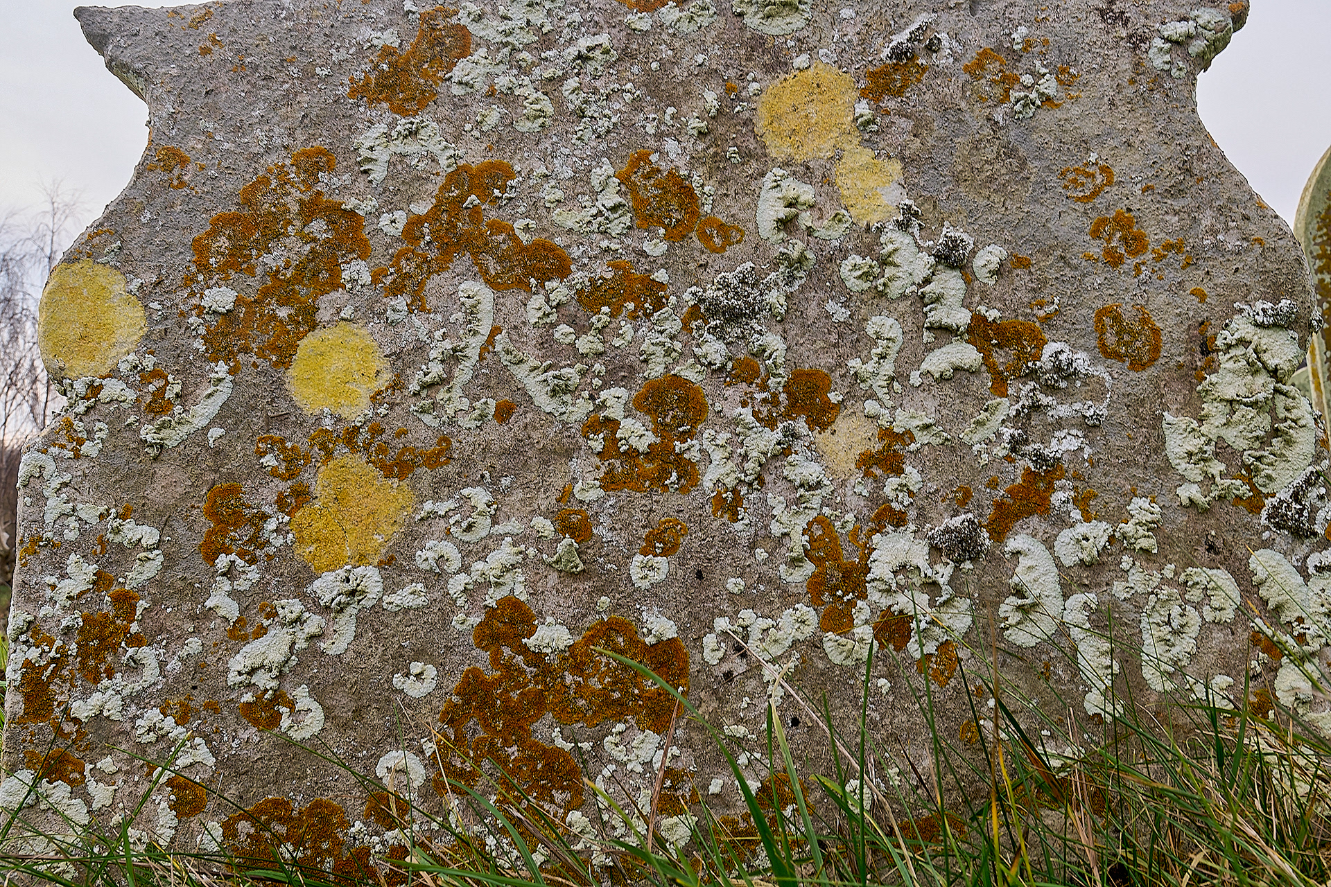 Gravestone medly