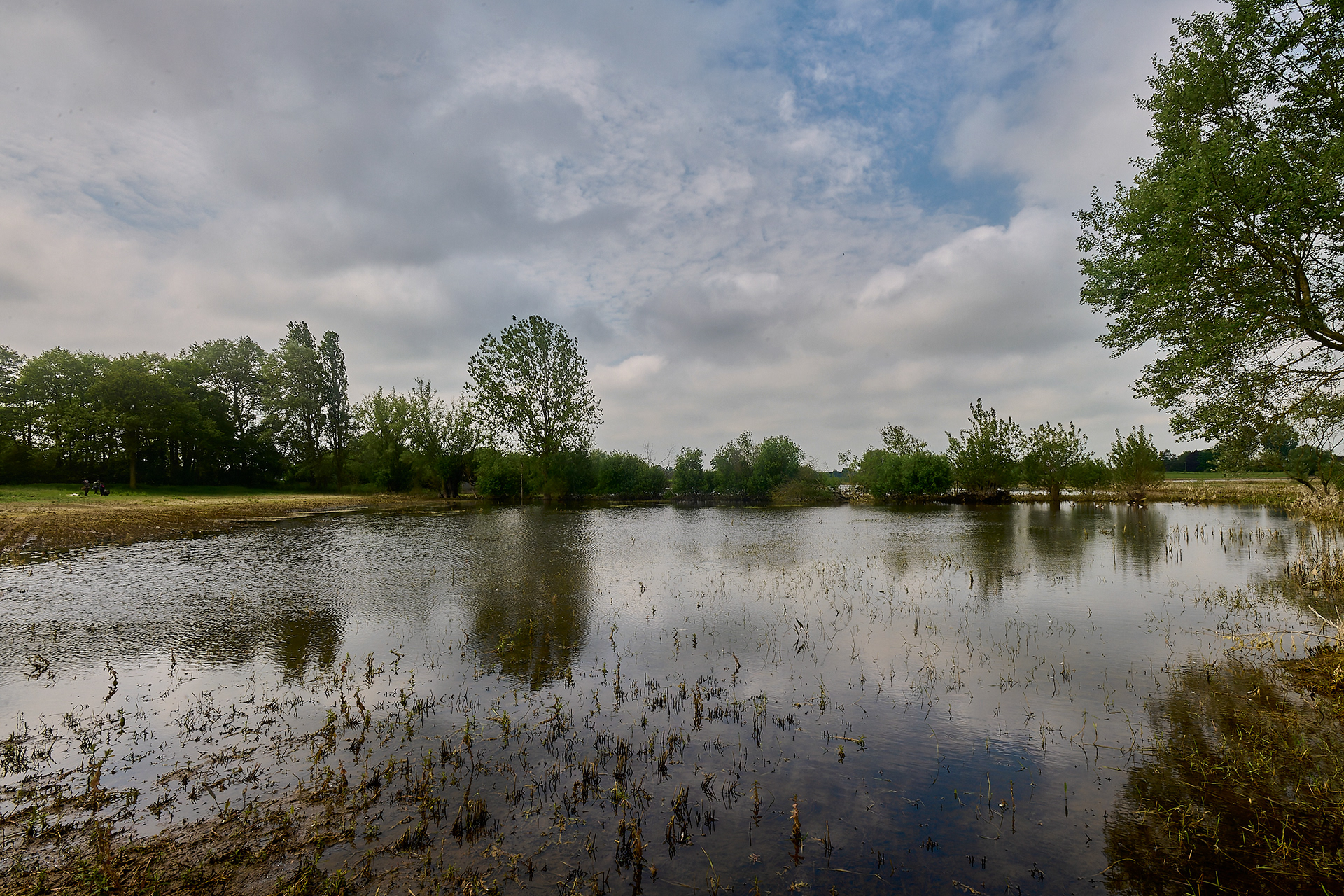 Dickleburgh Moor