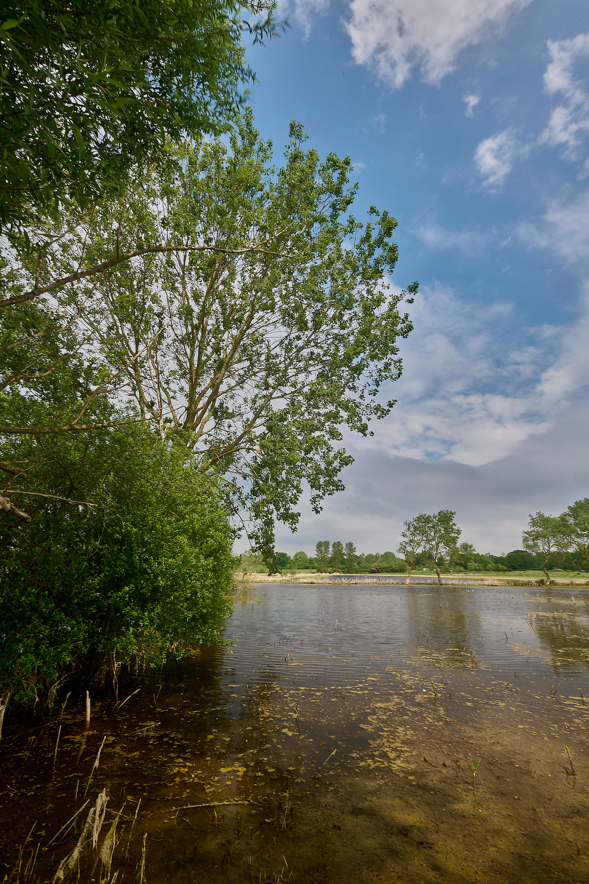 Dickleburgh Moor
