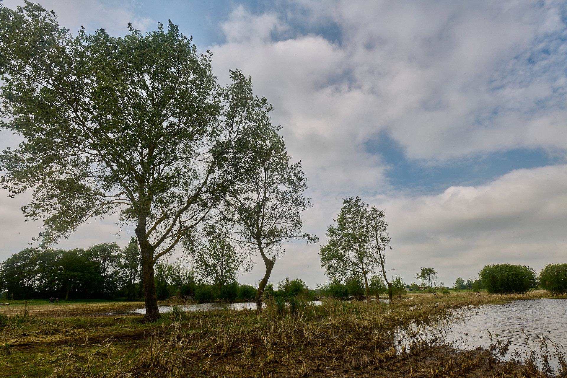 Dickleburgh Moor