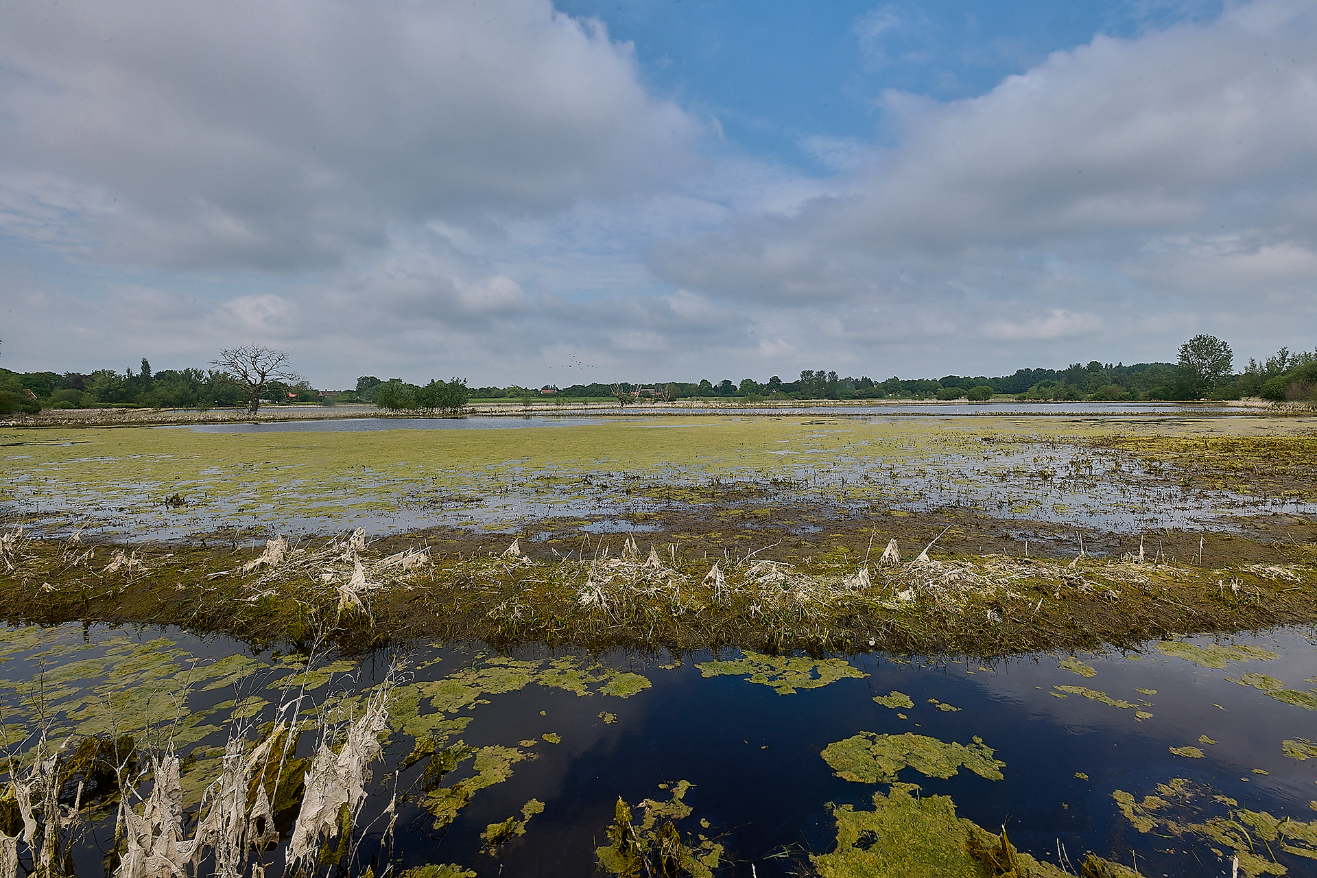 Dickleburgh Moor