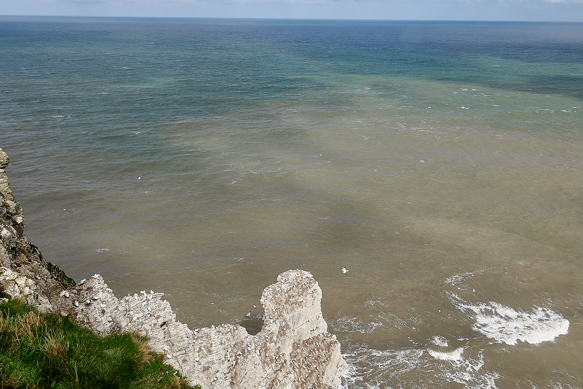 Bempton Cliffs
