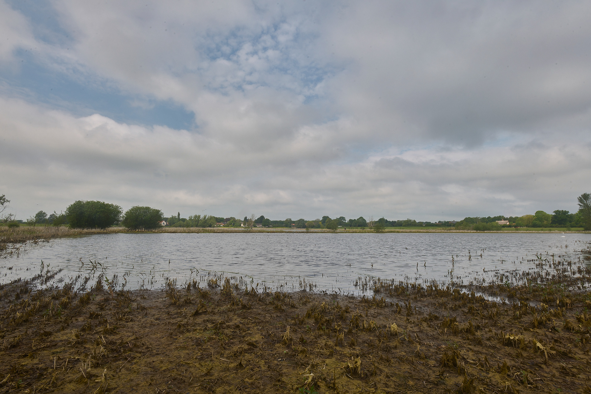Dickleburgh Moor