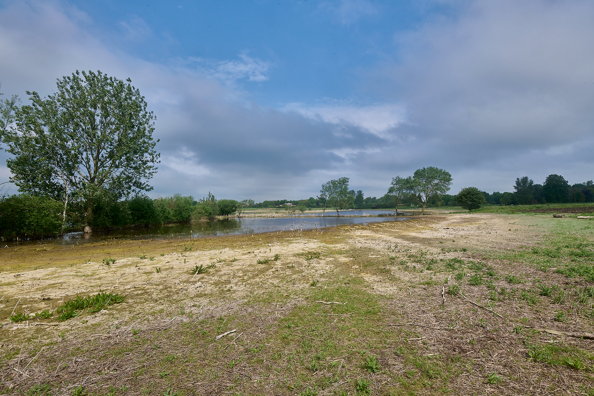 Dickleburgh Moor