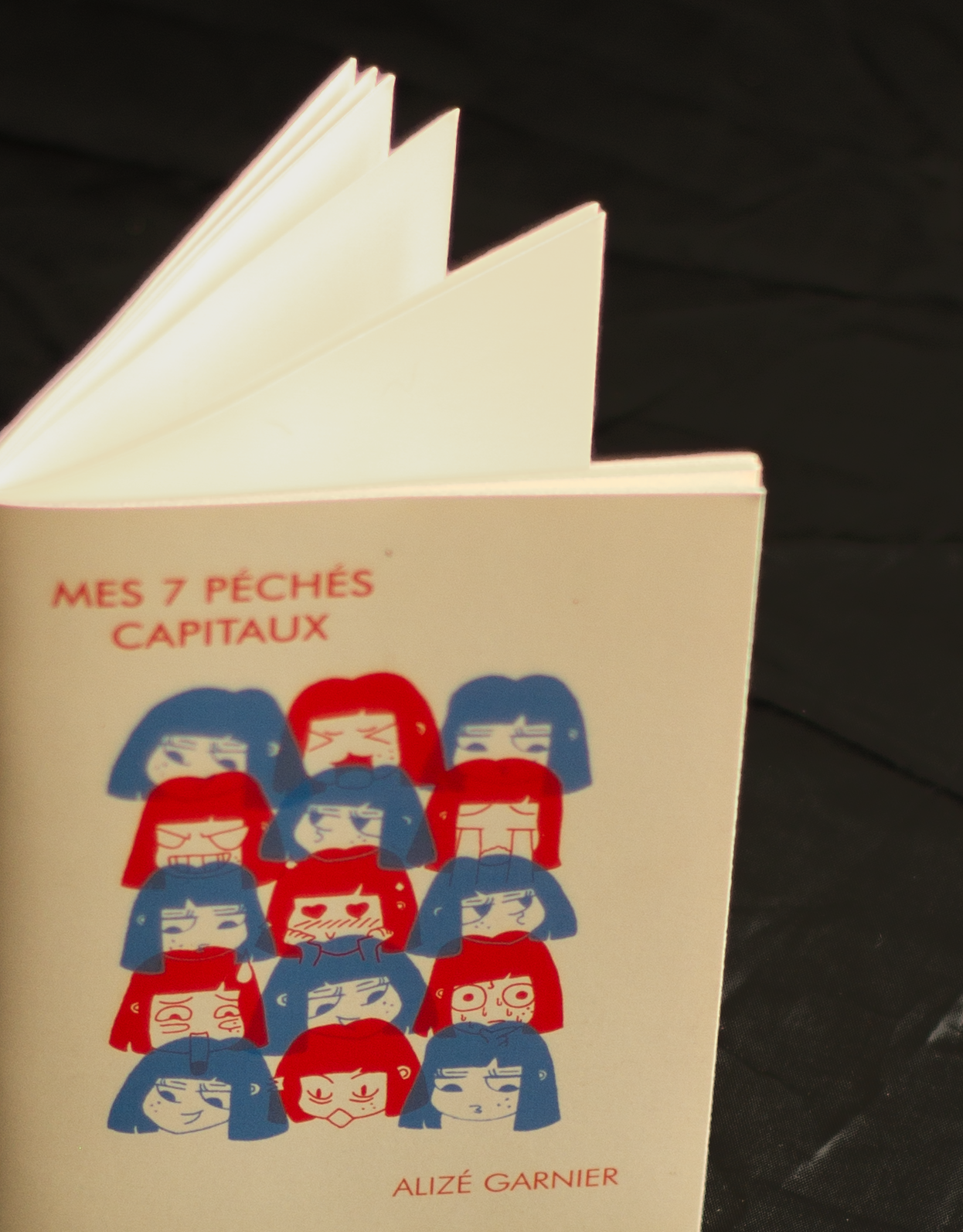 Couverture de la micro-édition