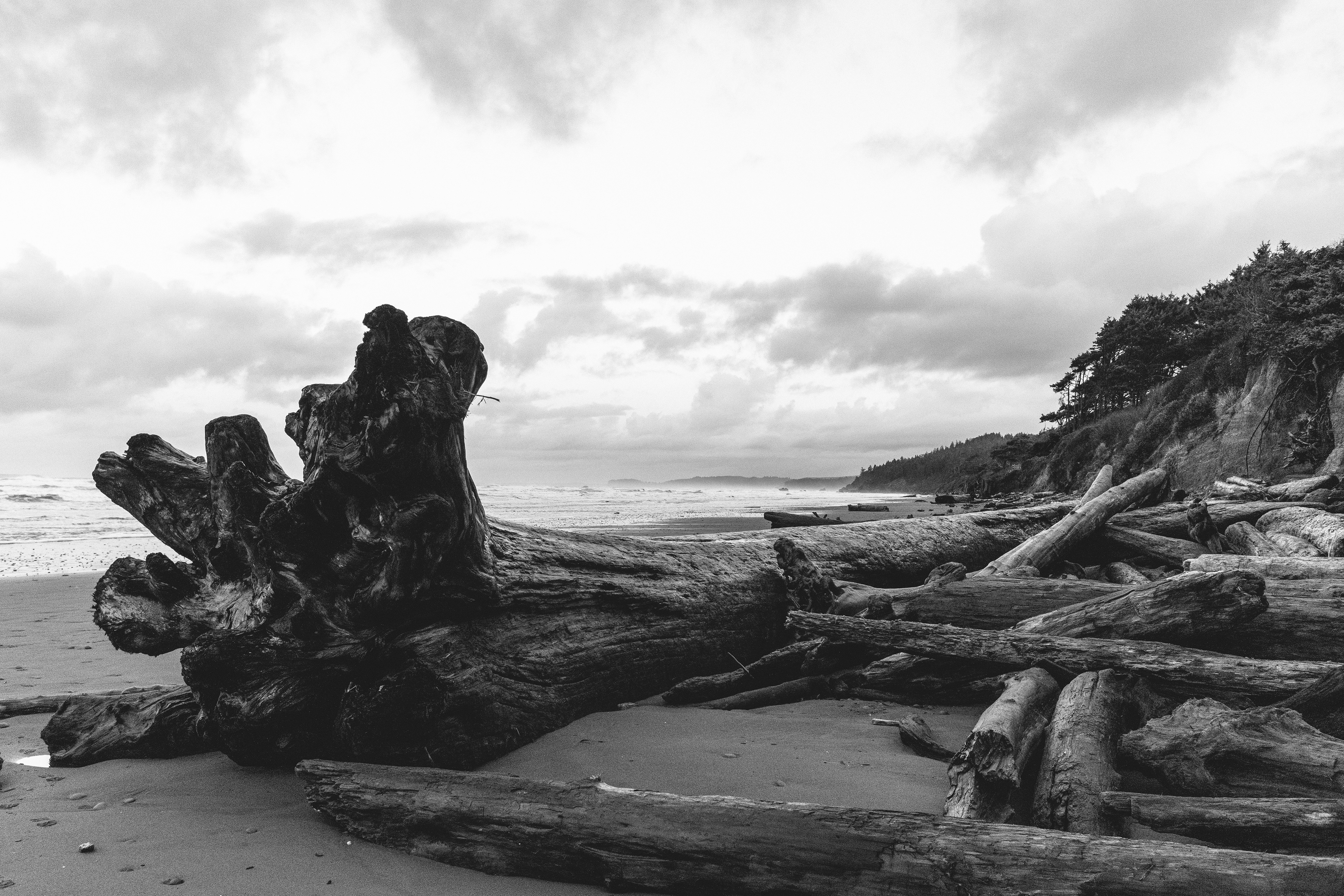 Kalaloch Beach