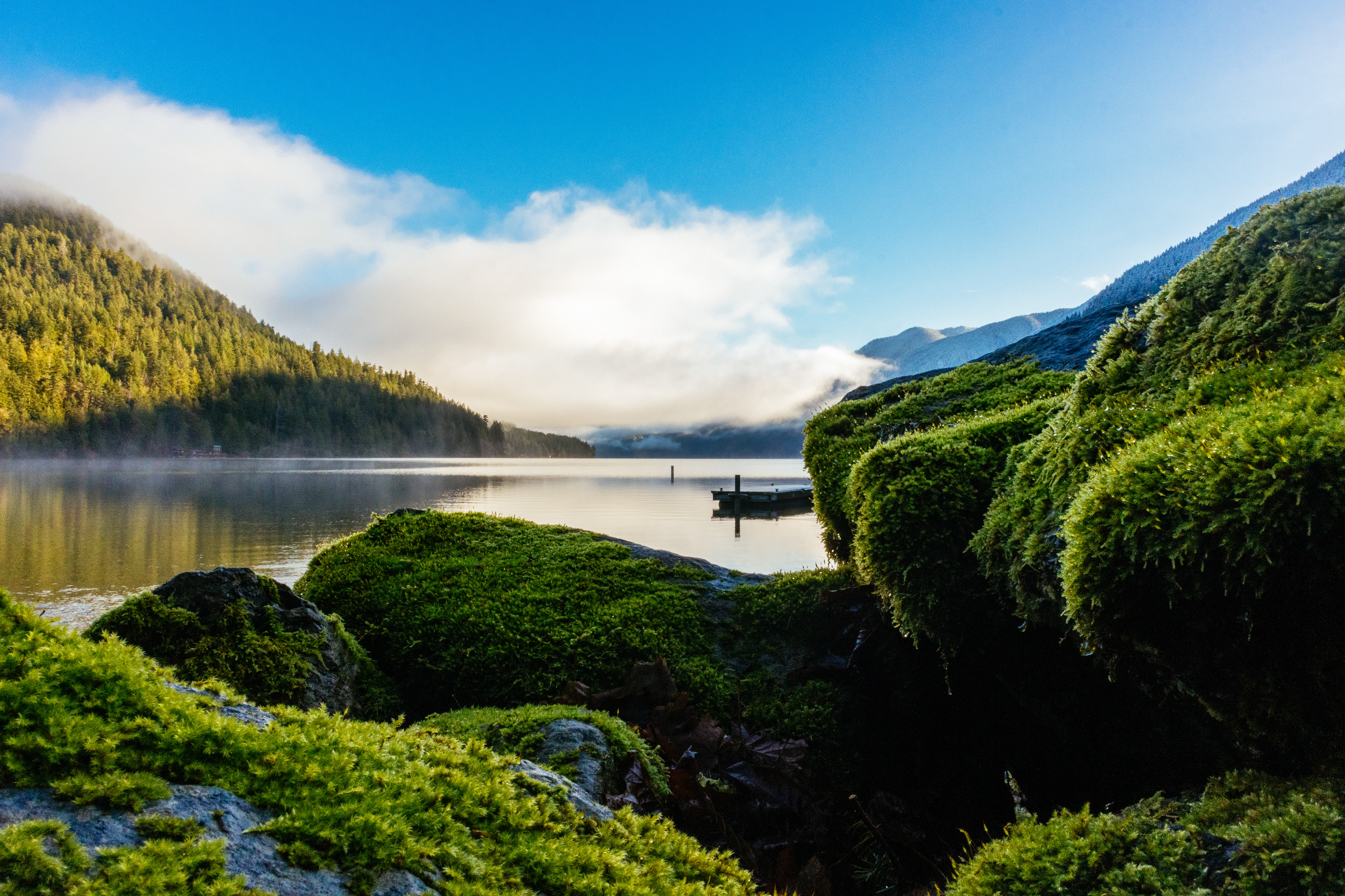 Olympic National Park