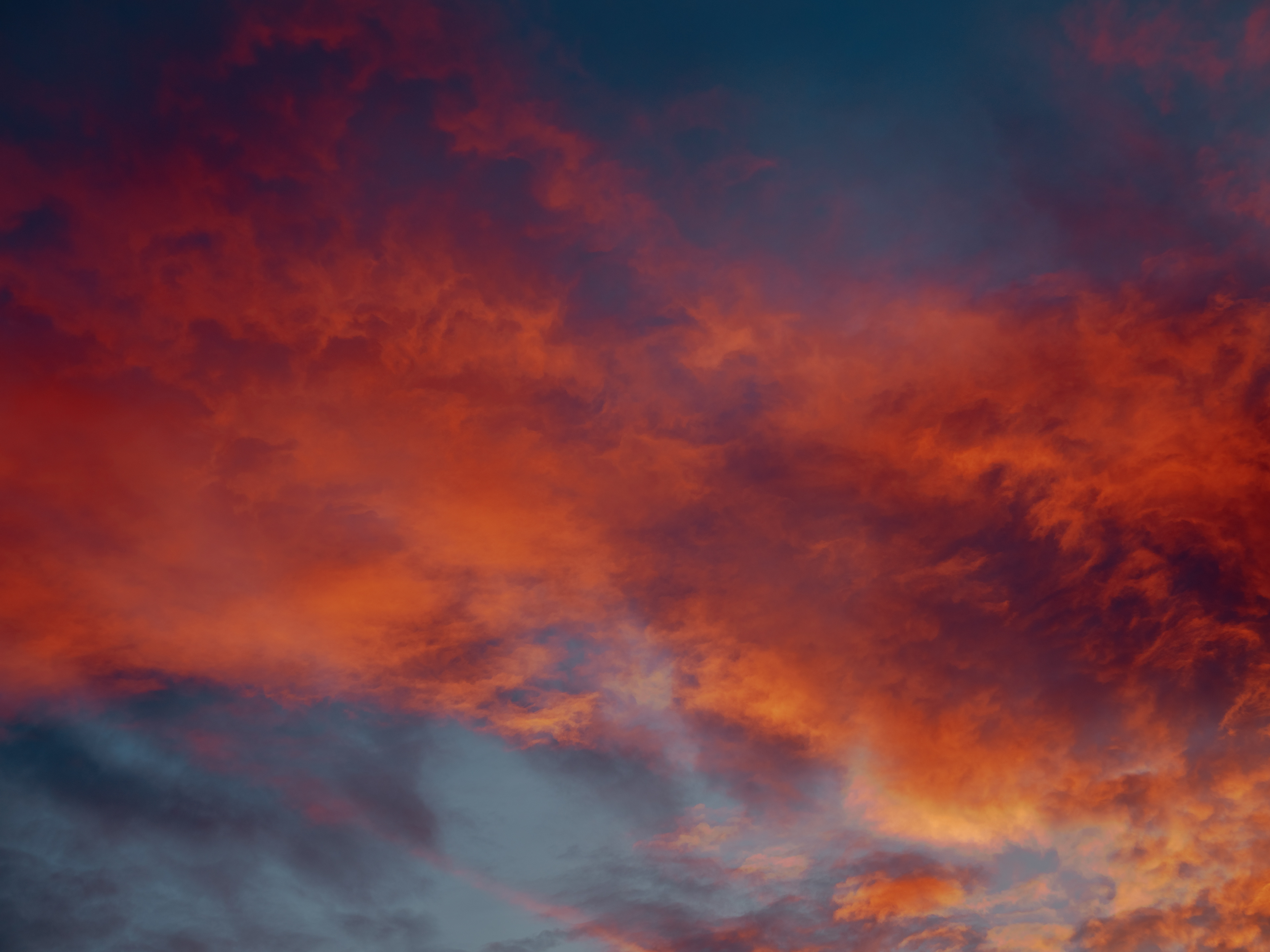 Olympic National Park