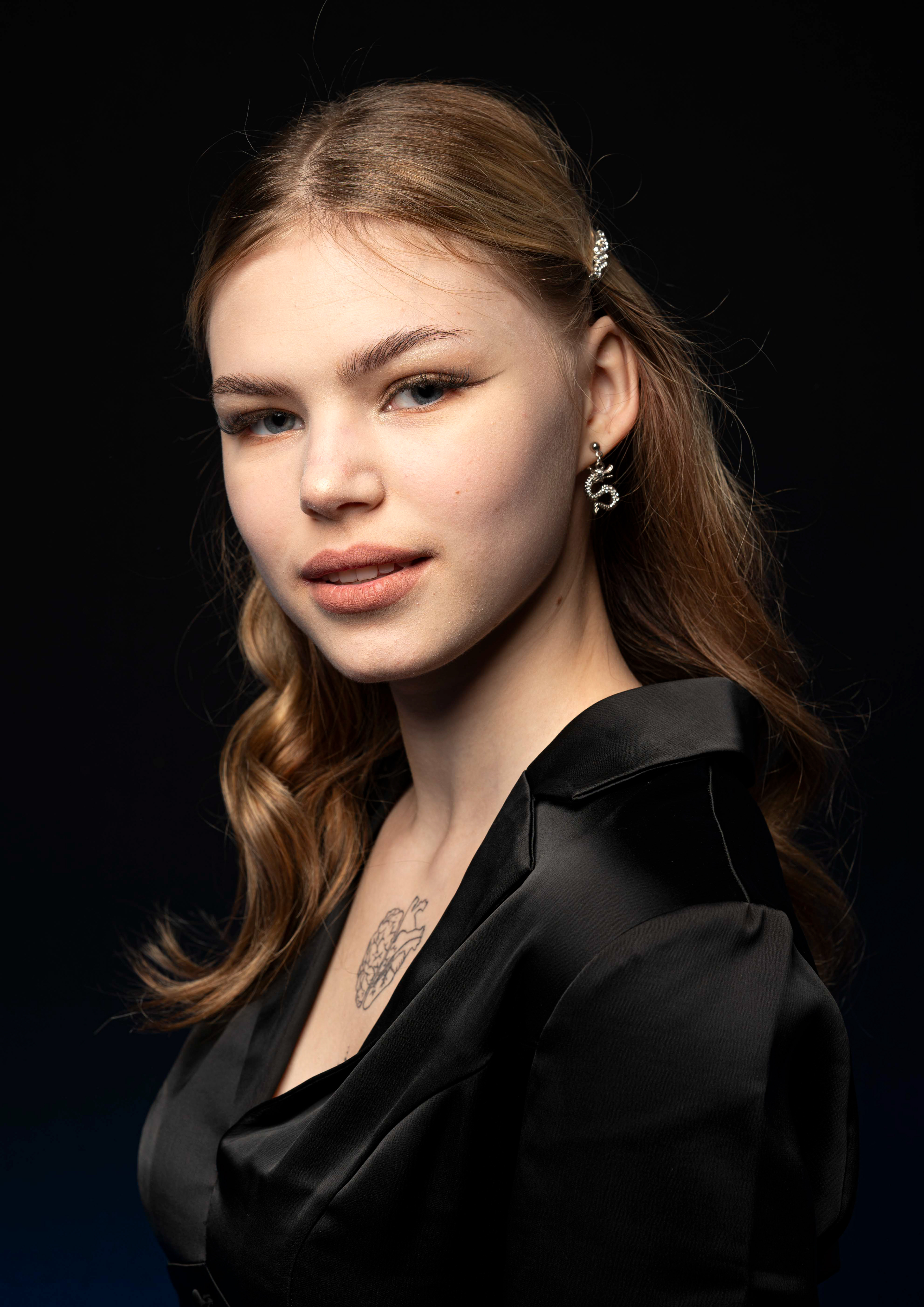 Vlada