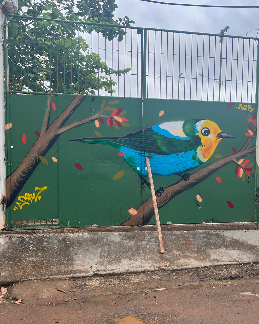 Saw - São Paulo/SP