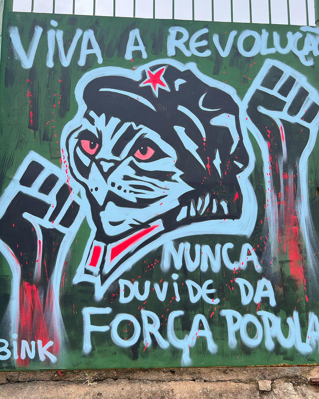 Amanda Bereta - Itaperuna/RJ