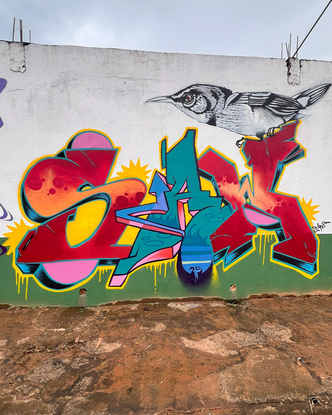 Saw - São Paulo/SP