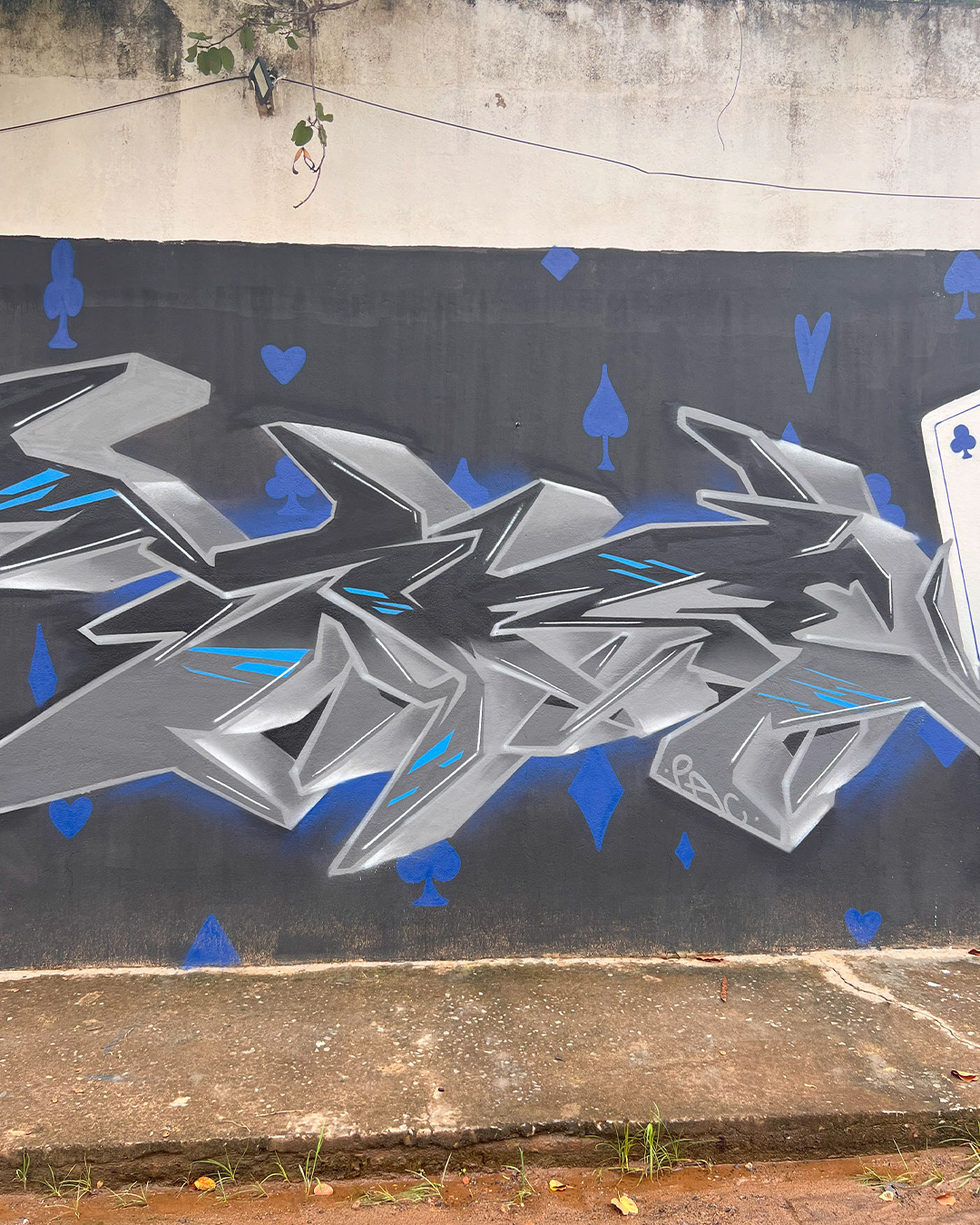 Zack - Campos dos Goytacazes/RJ
