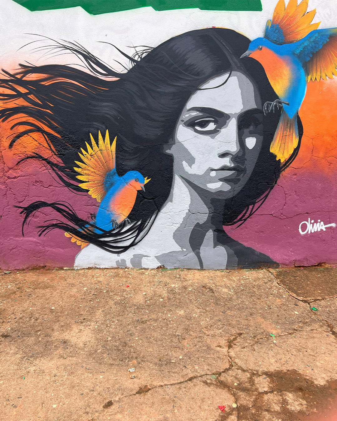 Olívia Souza - Muriaé/MG