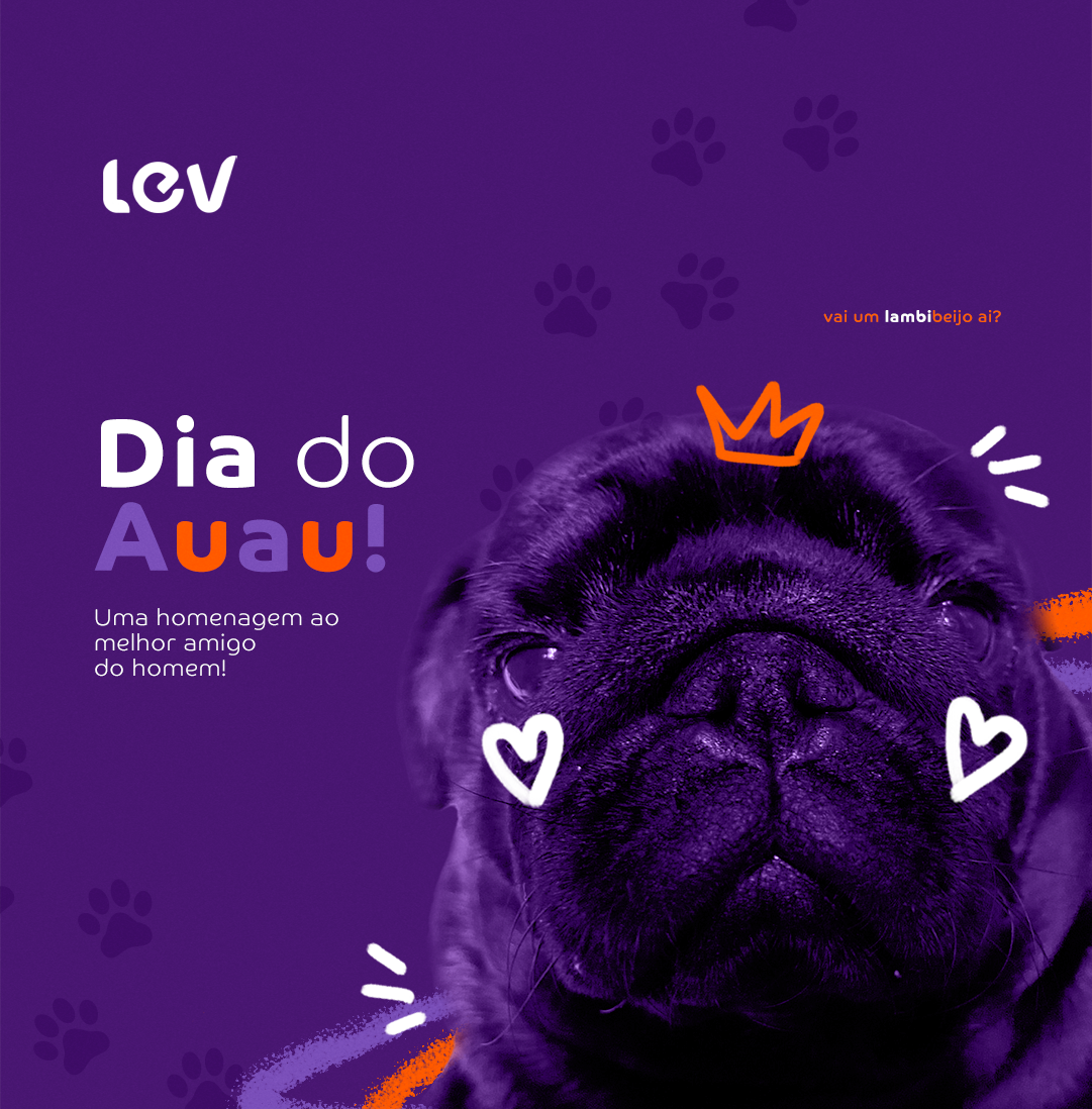 Quem não tem aquele melhor amigo que merece uma homenagem digna de todo amor.