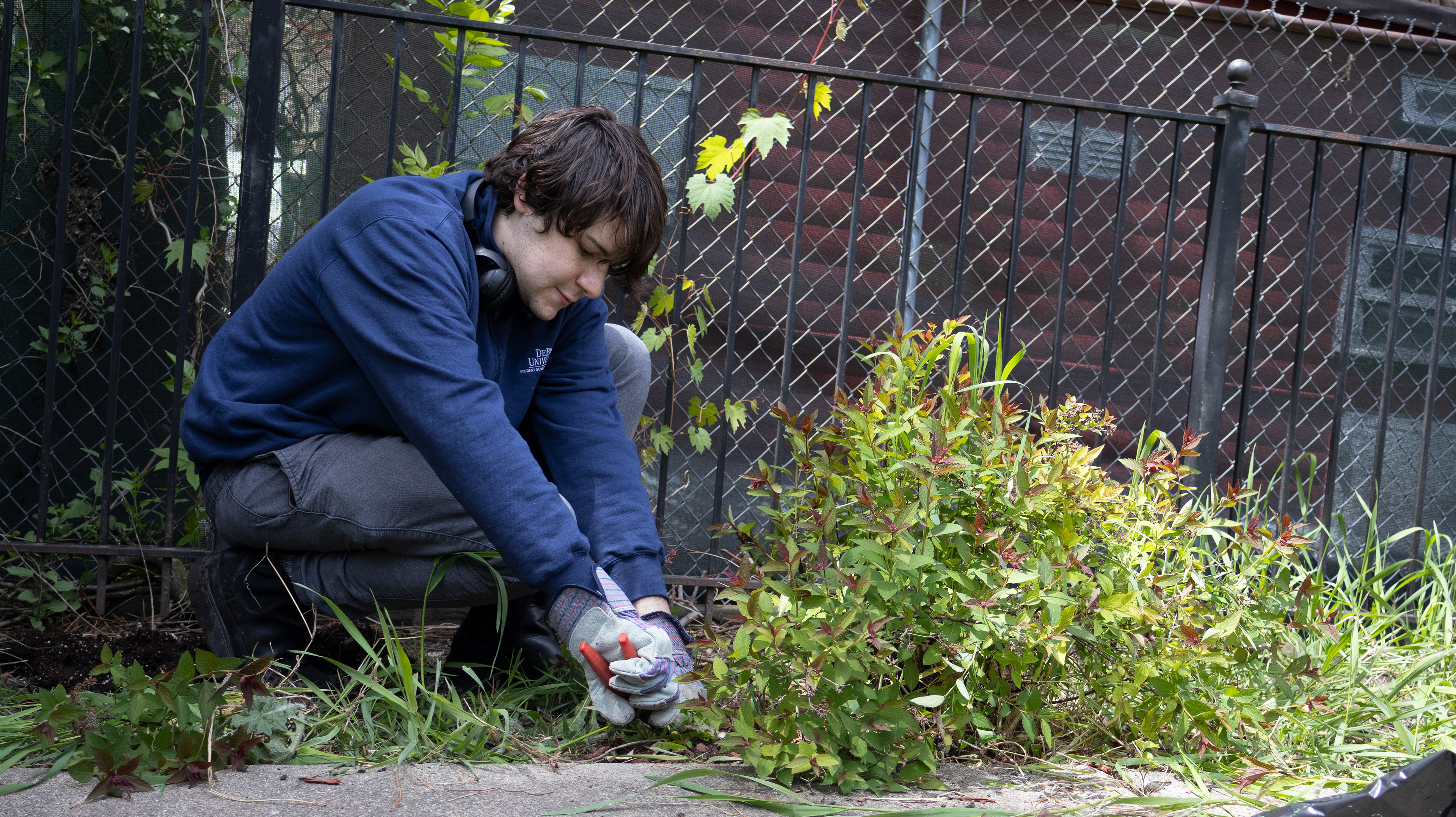 Cooper Menne trims branches on a bush during DePaul’s Vincentian Service Day at the 4400 Maypole Block Club Garden in West Garfield Park, Chicago on Saturday, May 2, 2026. His parents, being an Eagle Scout and attending DePaul all motivate him to be an active part of his community through service.