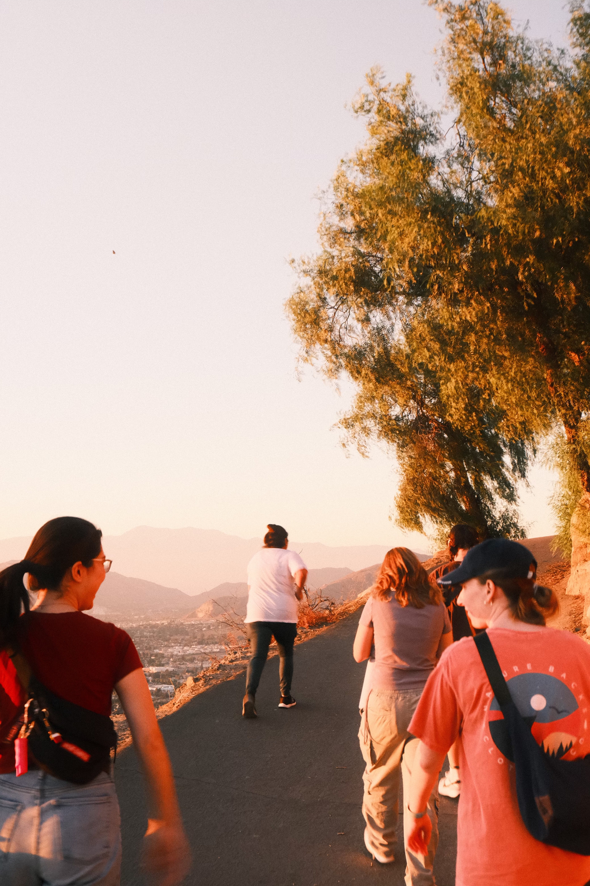 Students hiking Mt. Rubidoux