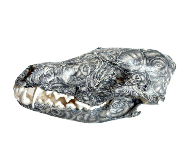 Memento Flori, graphite on fox skull. 2012. Private collection.