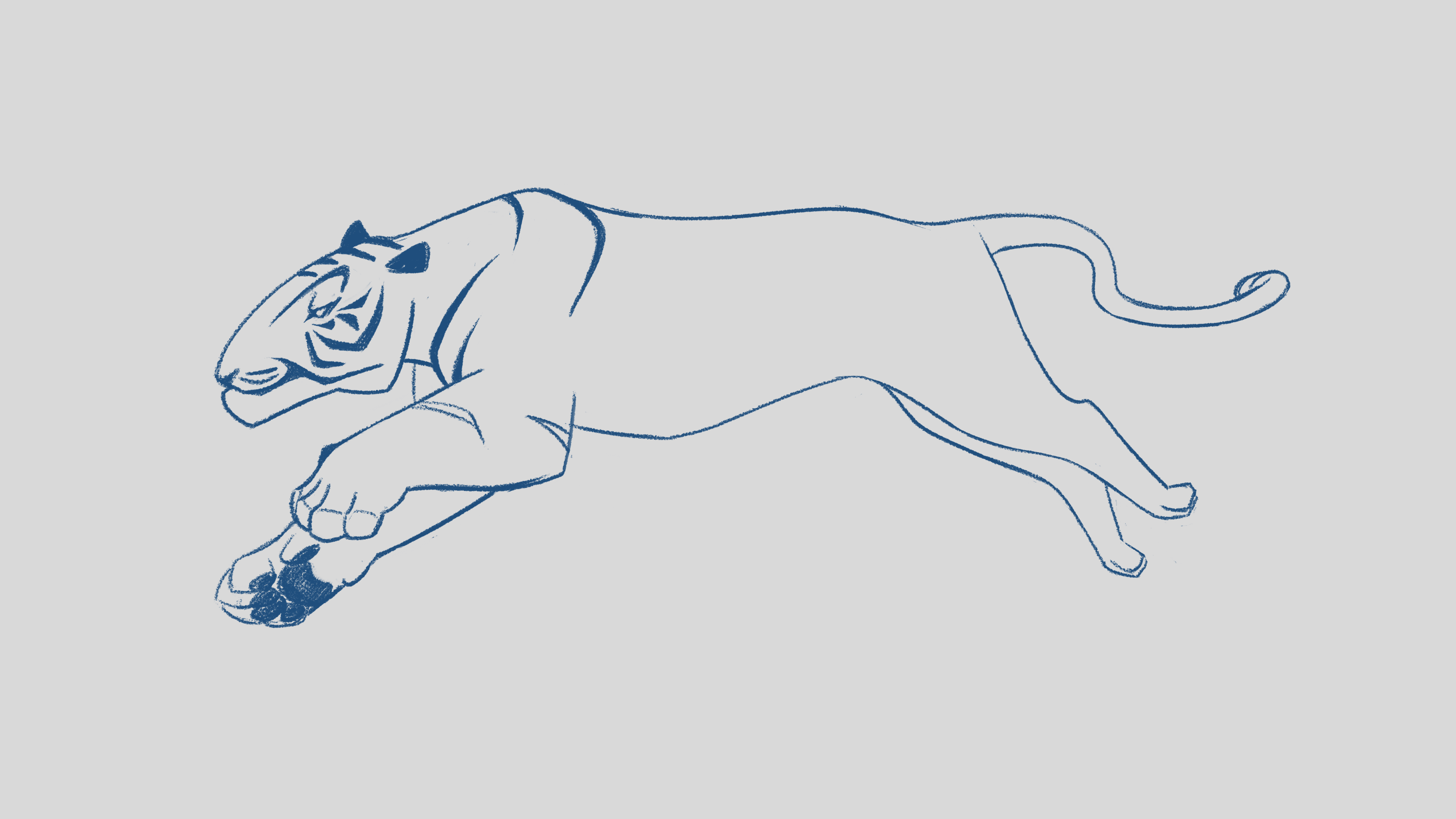 Tiger character design