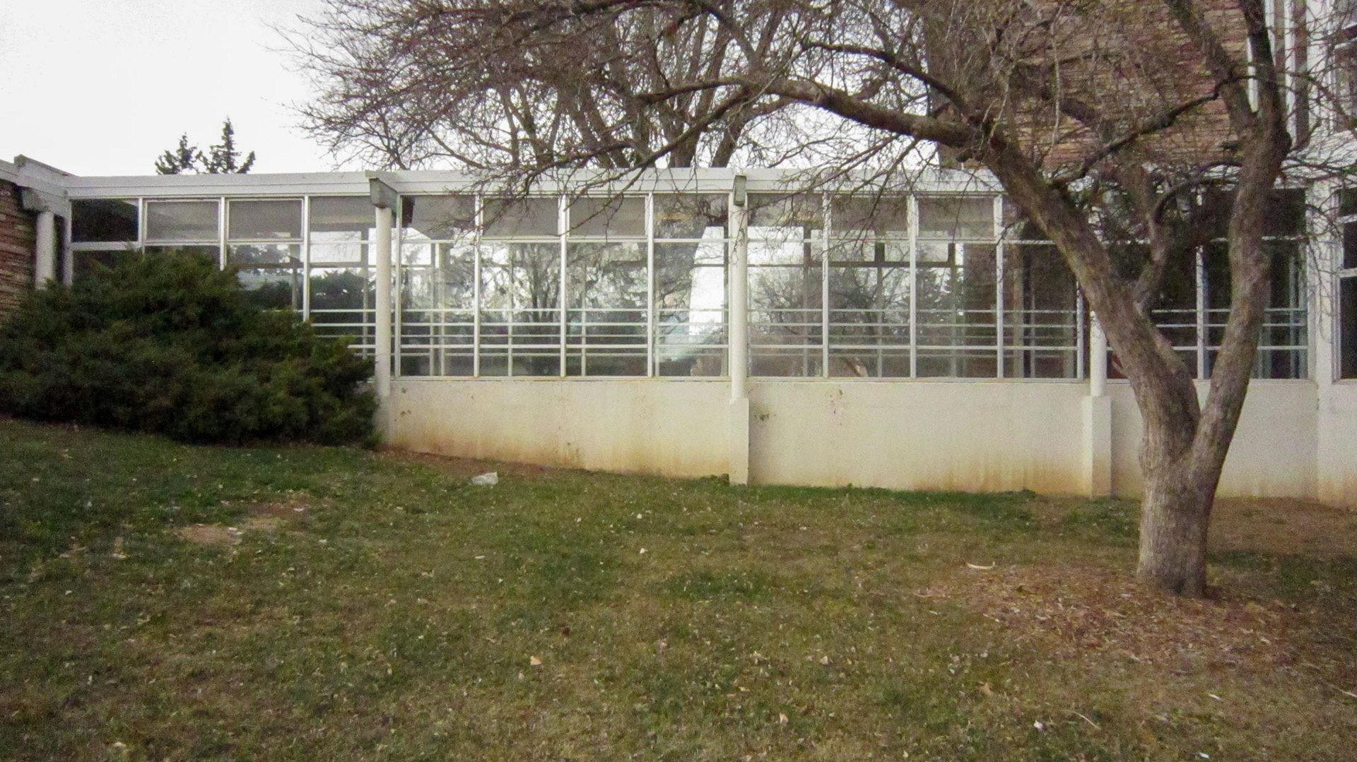 East-facing side of the north glass hallway