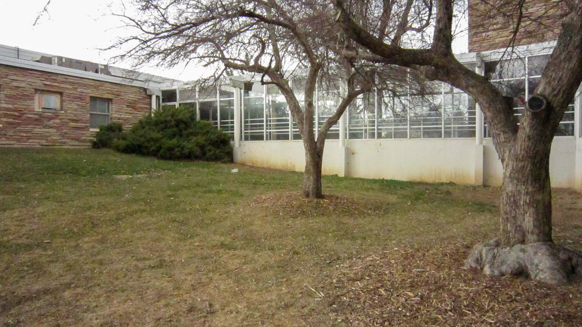 East-facing side of the north glass hallway