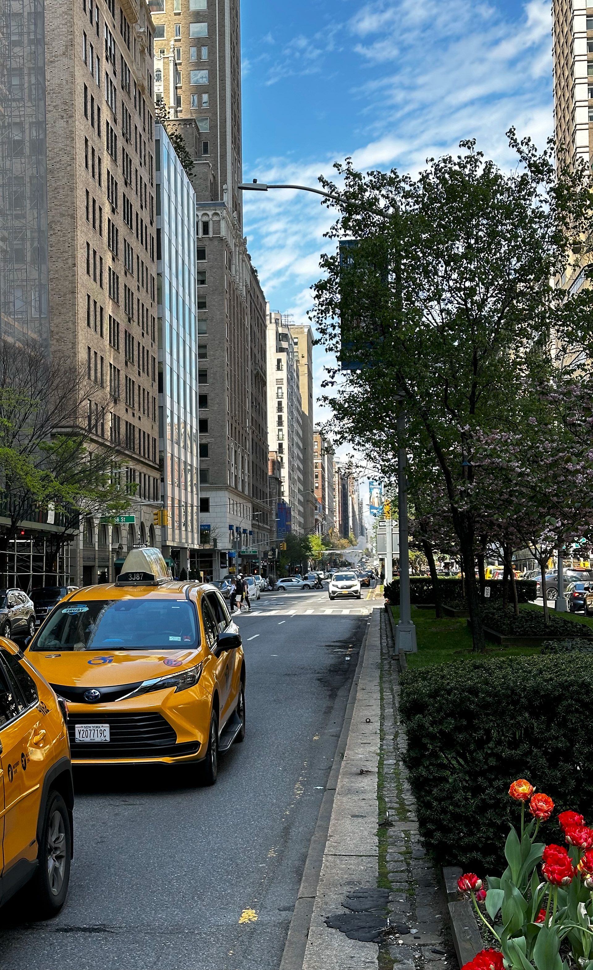 Park Ave.