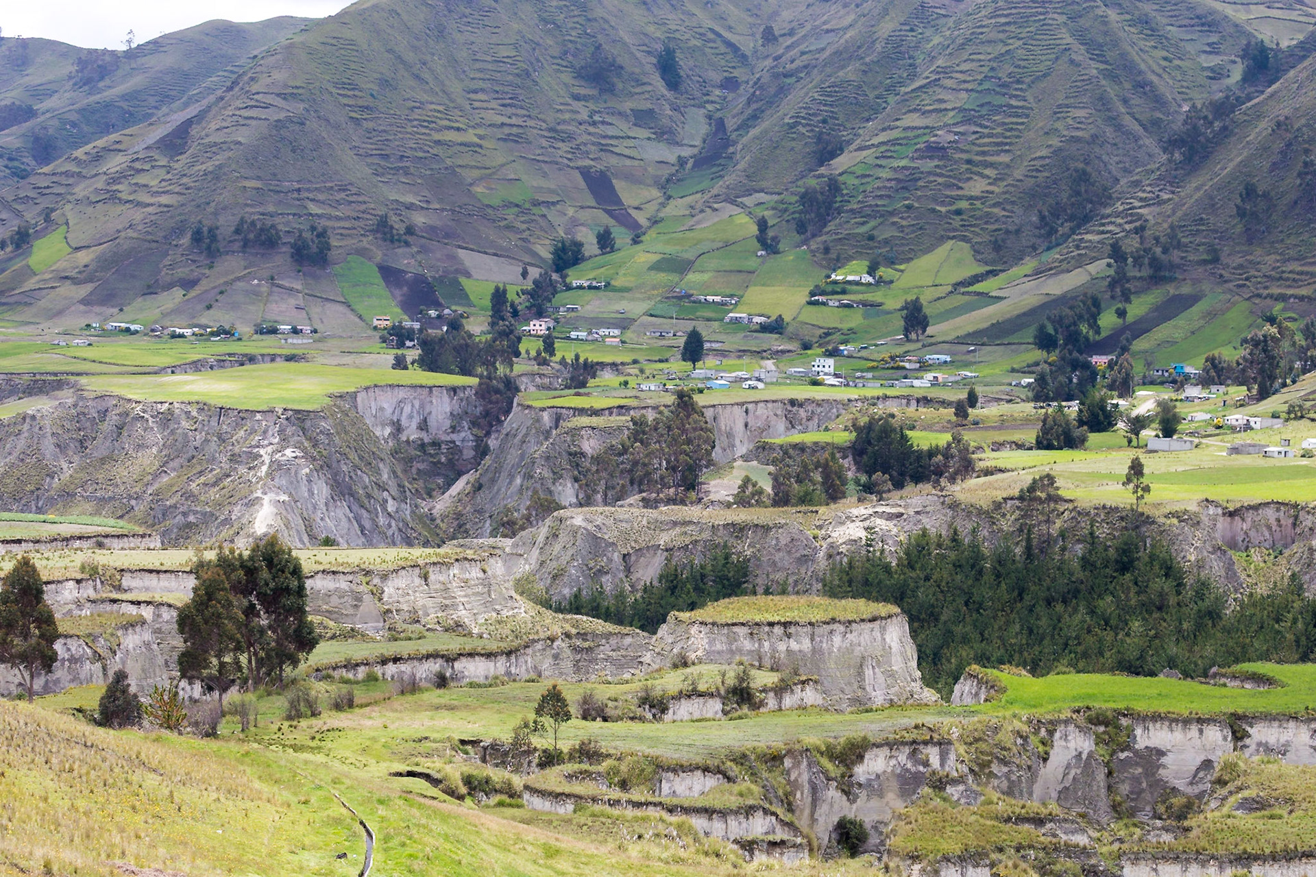 Pujilí Canton, Cotopaxi, Ecuador [Mar 2022]