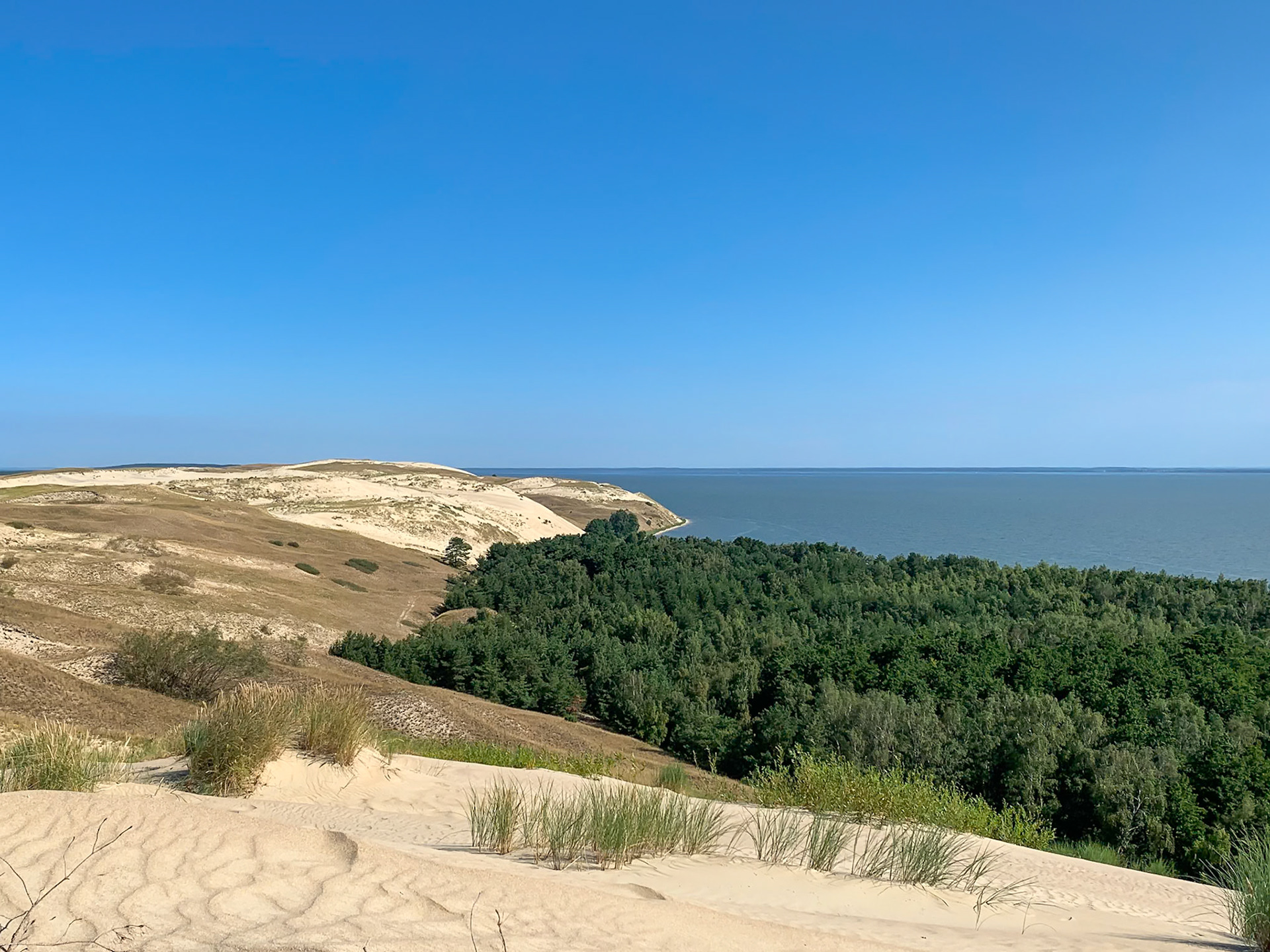 Neringa, Neringa, Lithuania [Aug 2020]