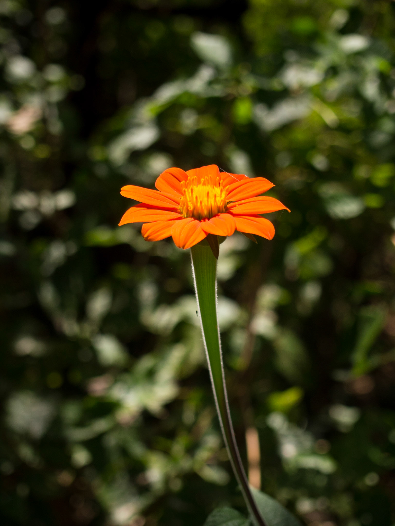 , Matabeleland North, Zimbabwe [Apr 2014]