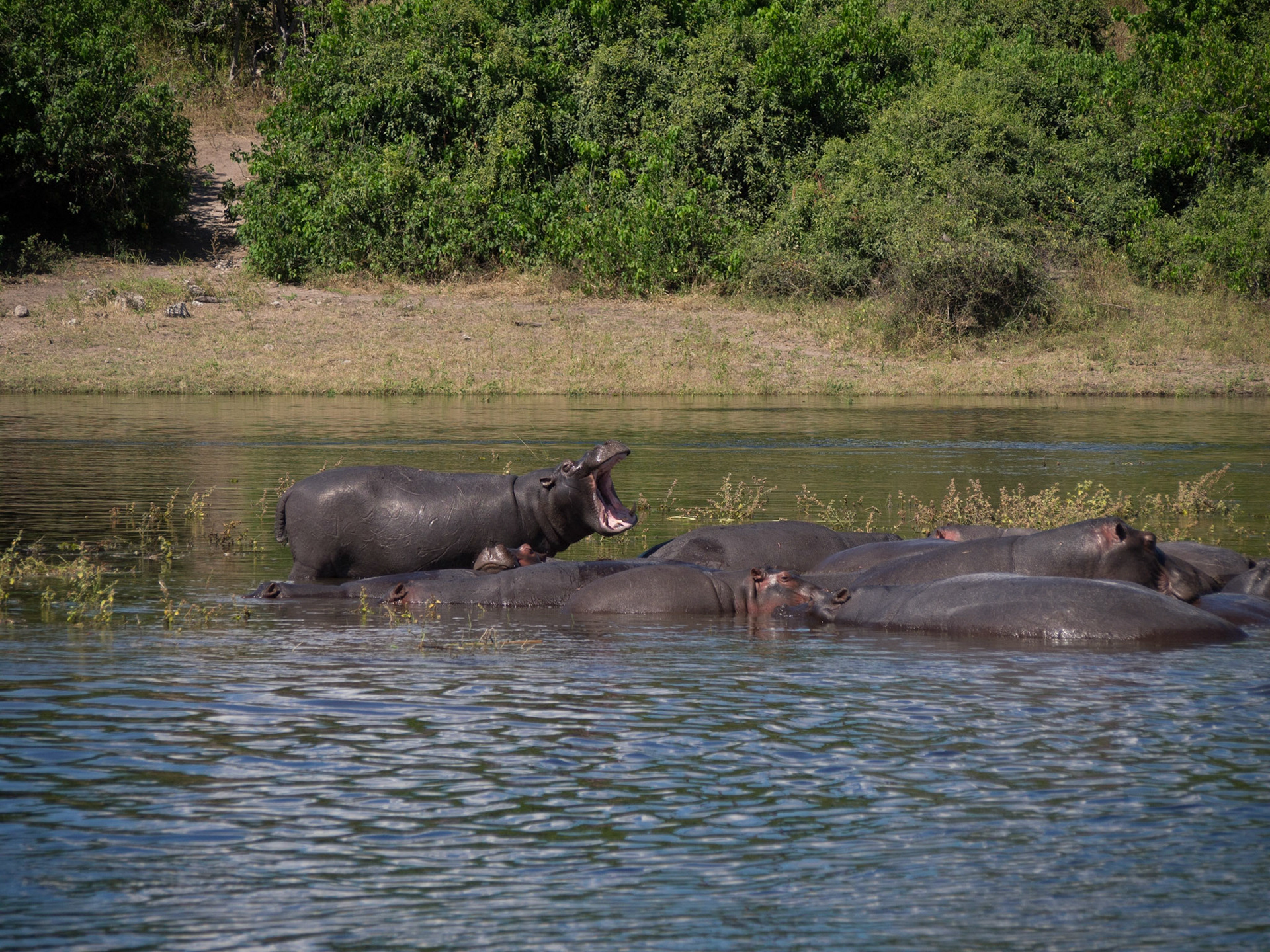 , North West, Botswana [Apr 2014]