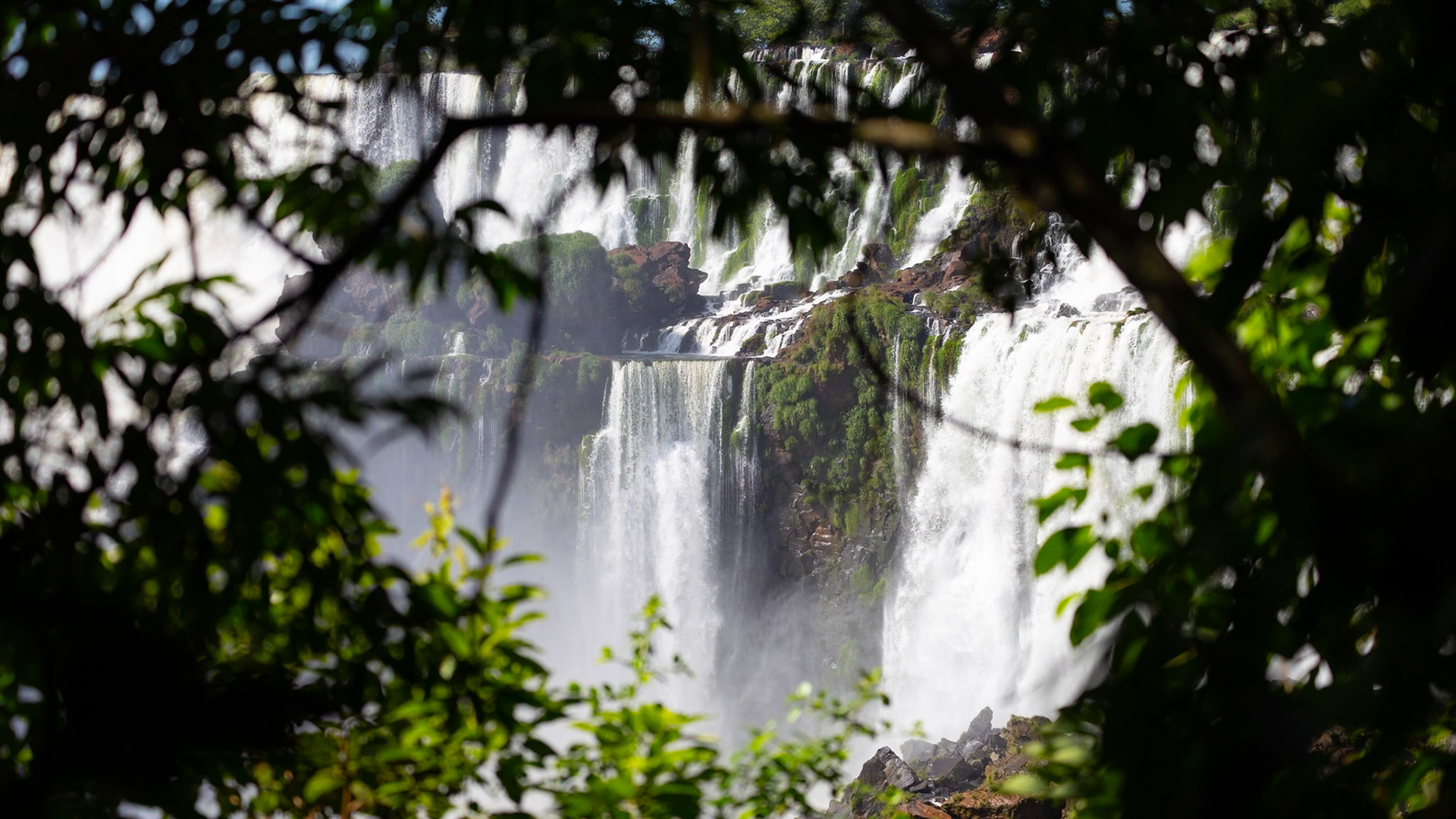 Puerto Iguazú, Misiones, Argentina [Feb 2024]