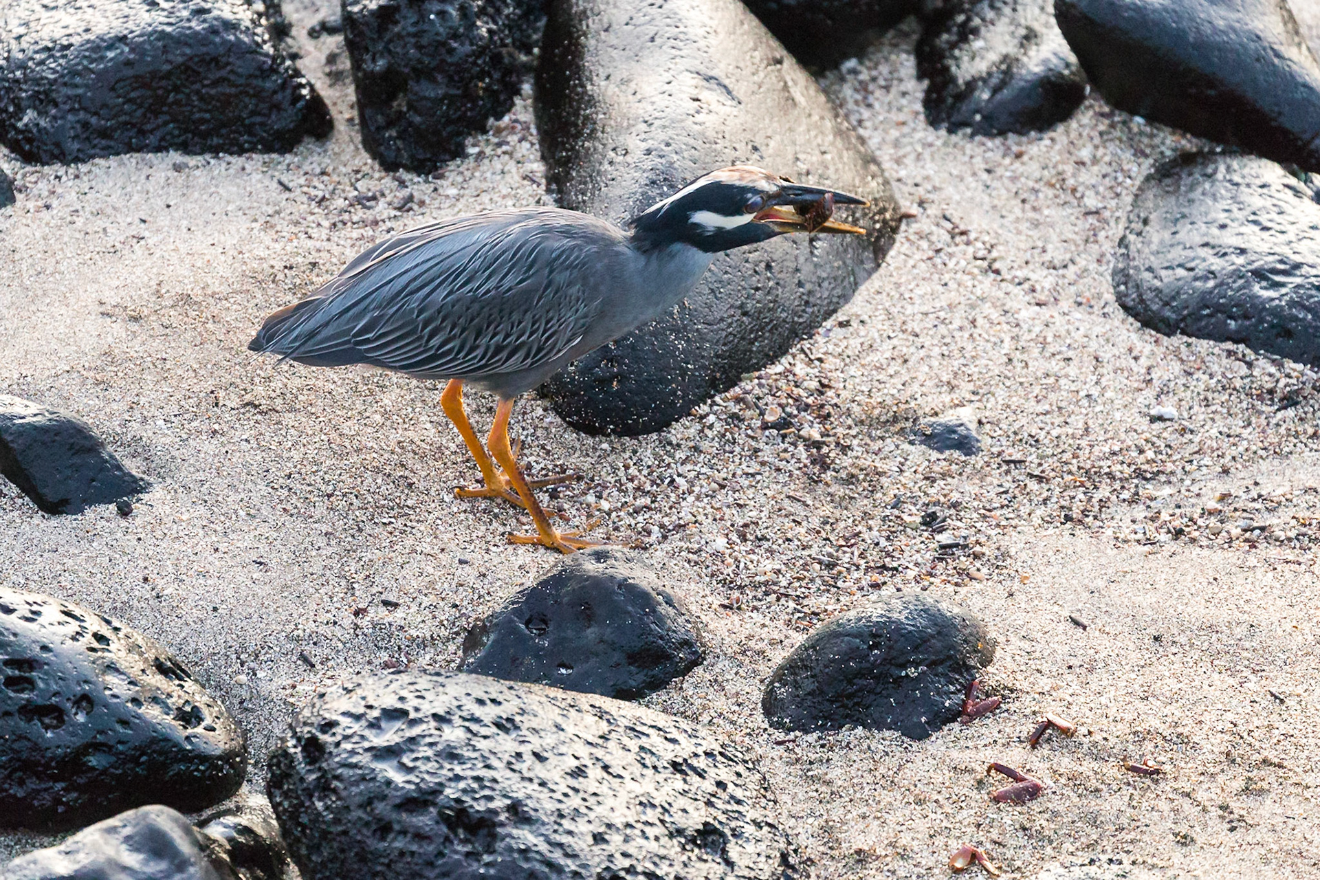 San Cristóbal Canton, Galápagos, Ecuador [Mar 2022]