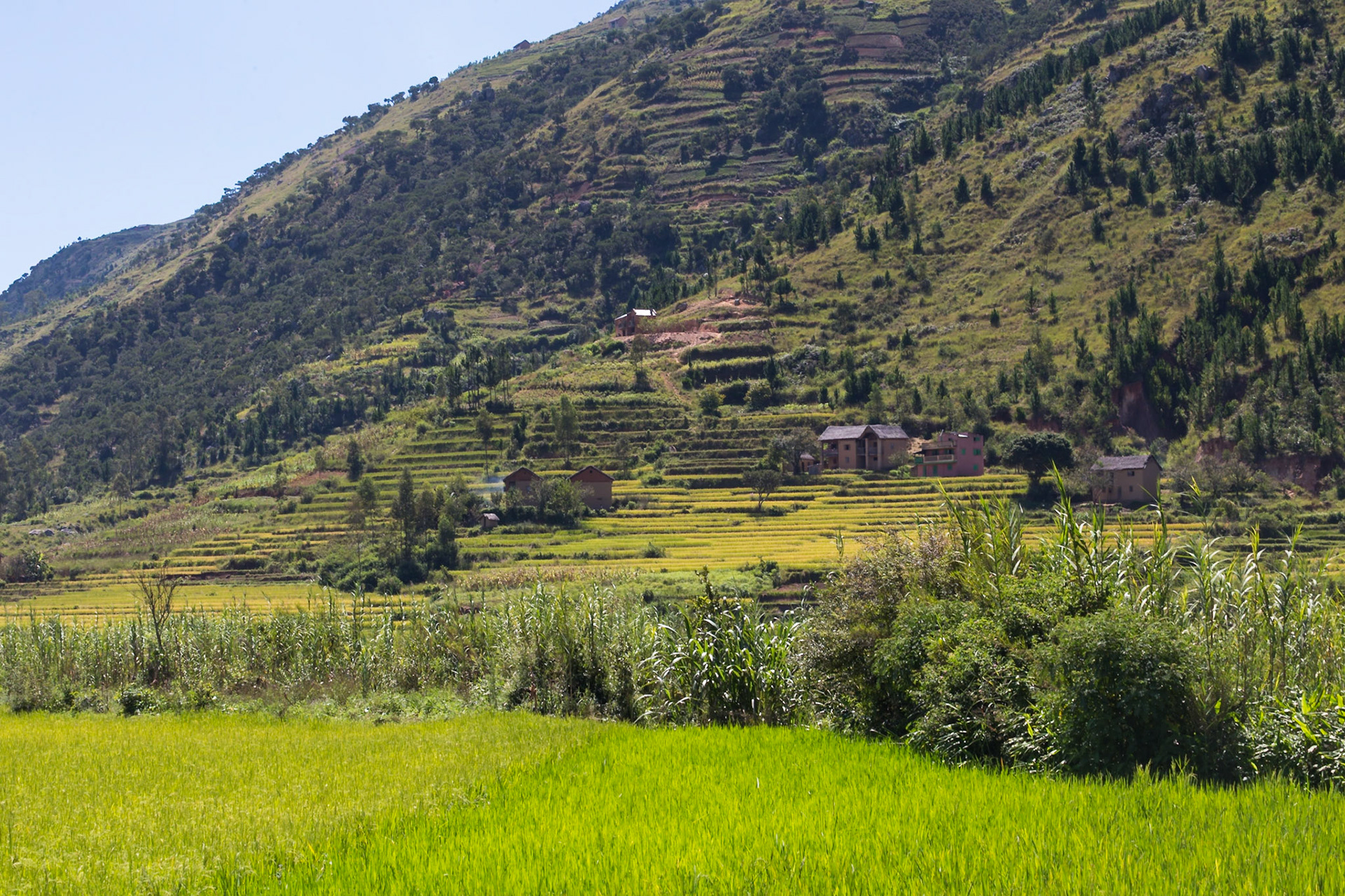 Ambohimanjaka, Ambohidratrimo, Madagascar [Apr 2019]