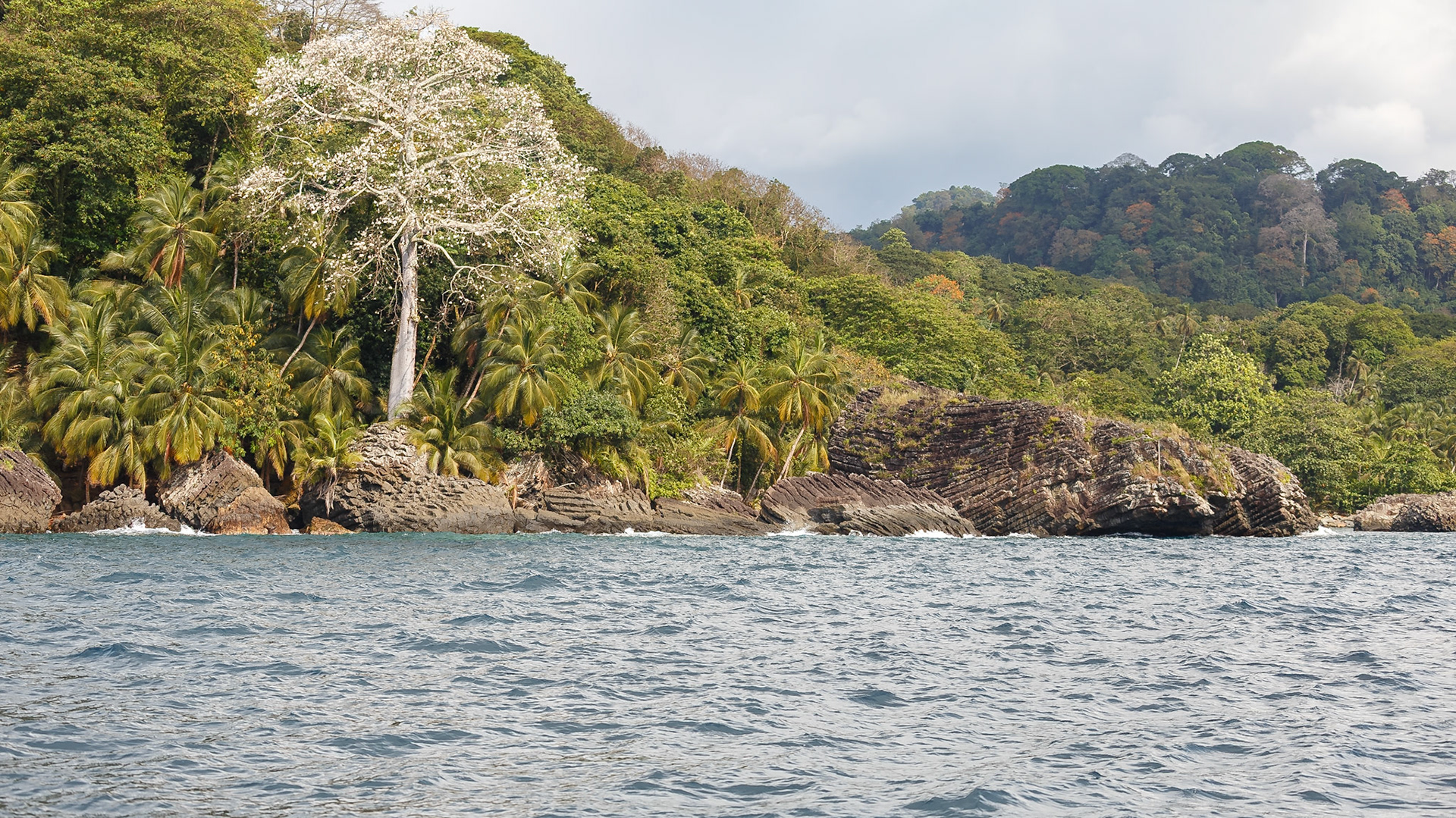 , Pagué, São Tomé and Príncipe [Feb 2026]