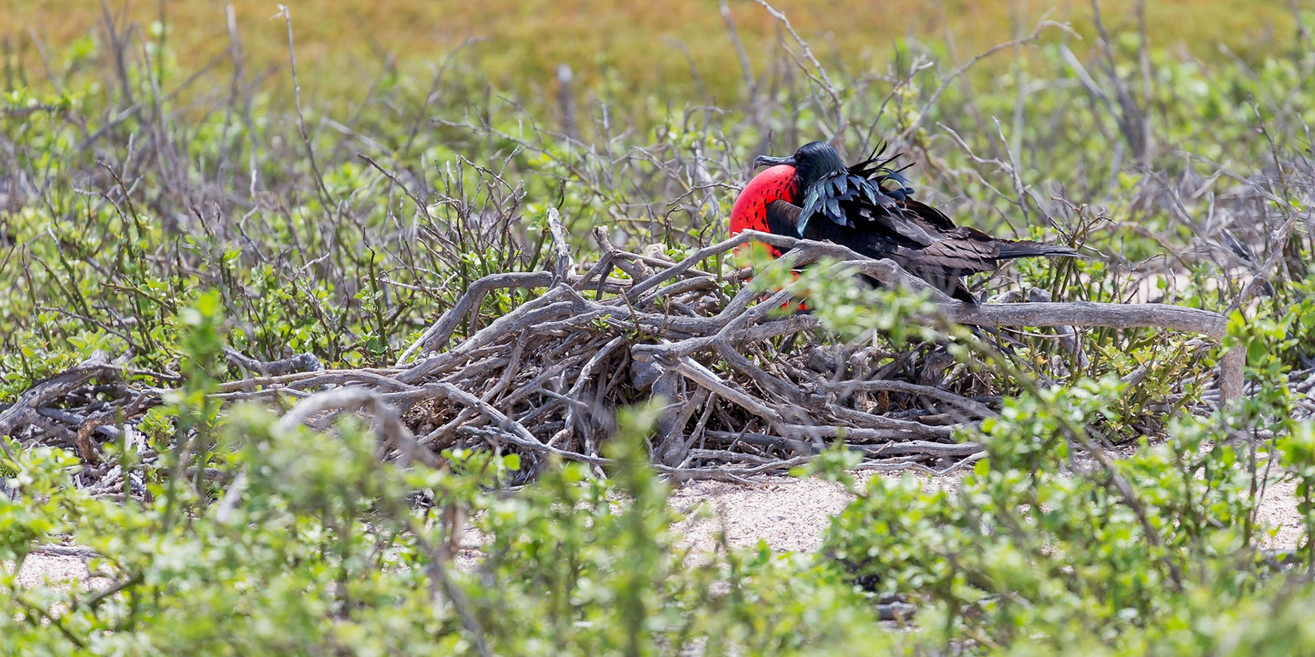 Galapagos Islands, Galápagos, Ecuador [Apr 2022]