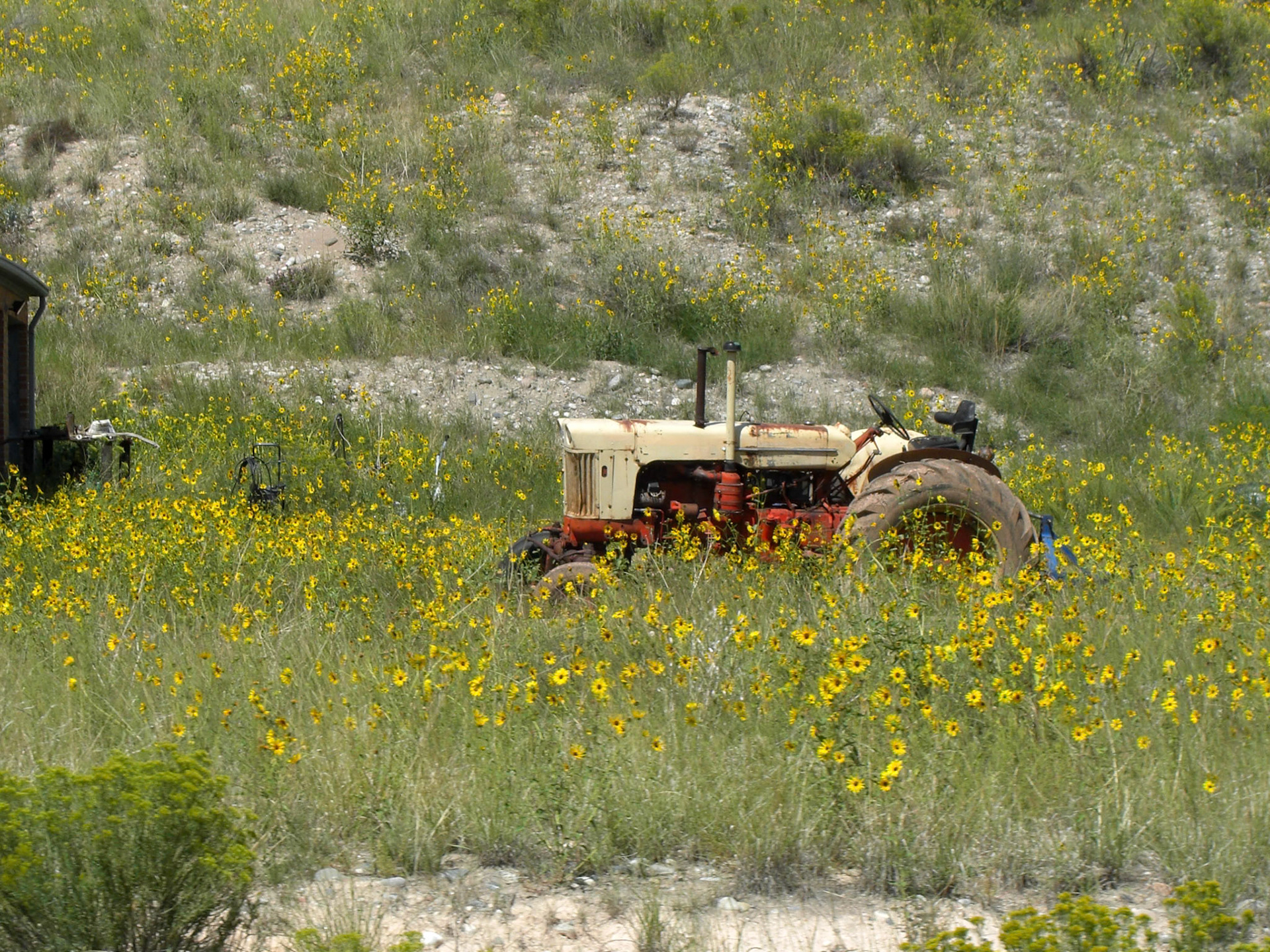Cañon City, Colorado, United States [Sept 2008]