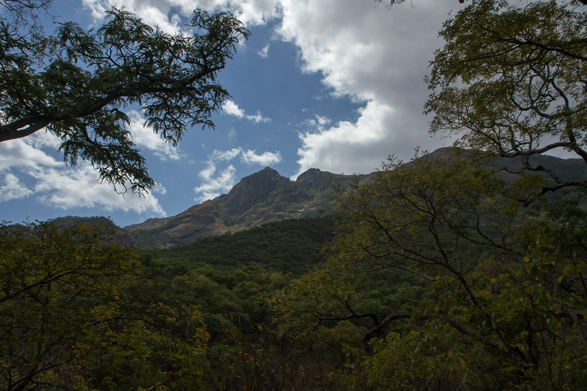 Mulanje Mountain, Southern Region, Malawi [Aug 2016]