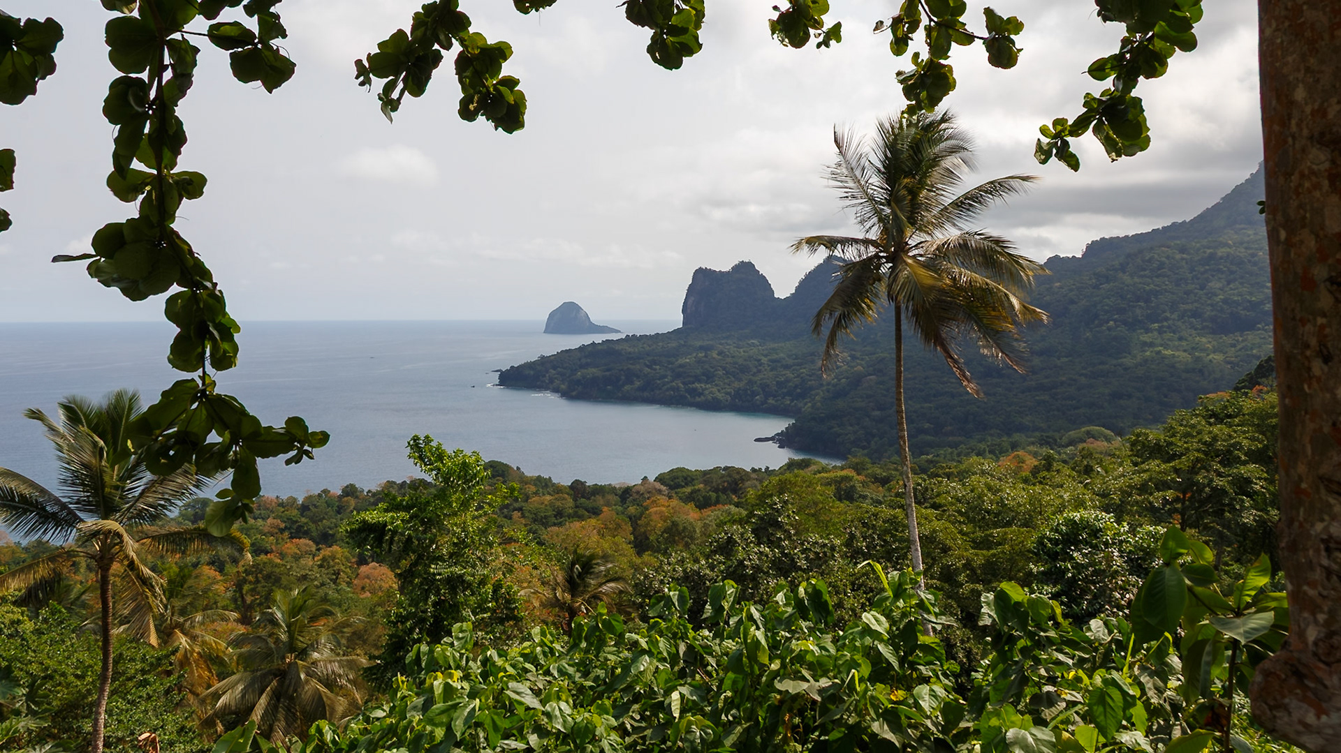Nova Estrela, Pagué, São Tomé and Príncipe [Feb 2026]