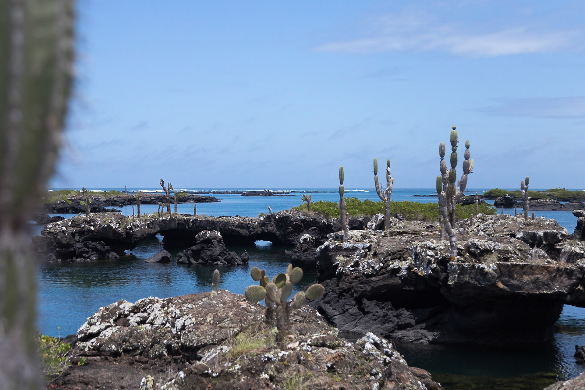 Isabela Canton, Galápagos, Ecuador [Apr 2022]