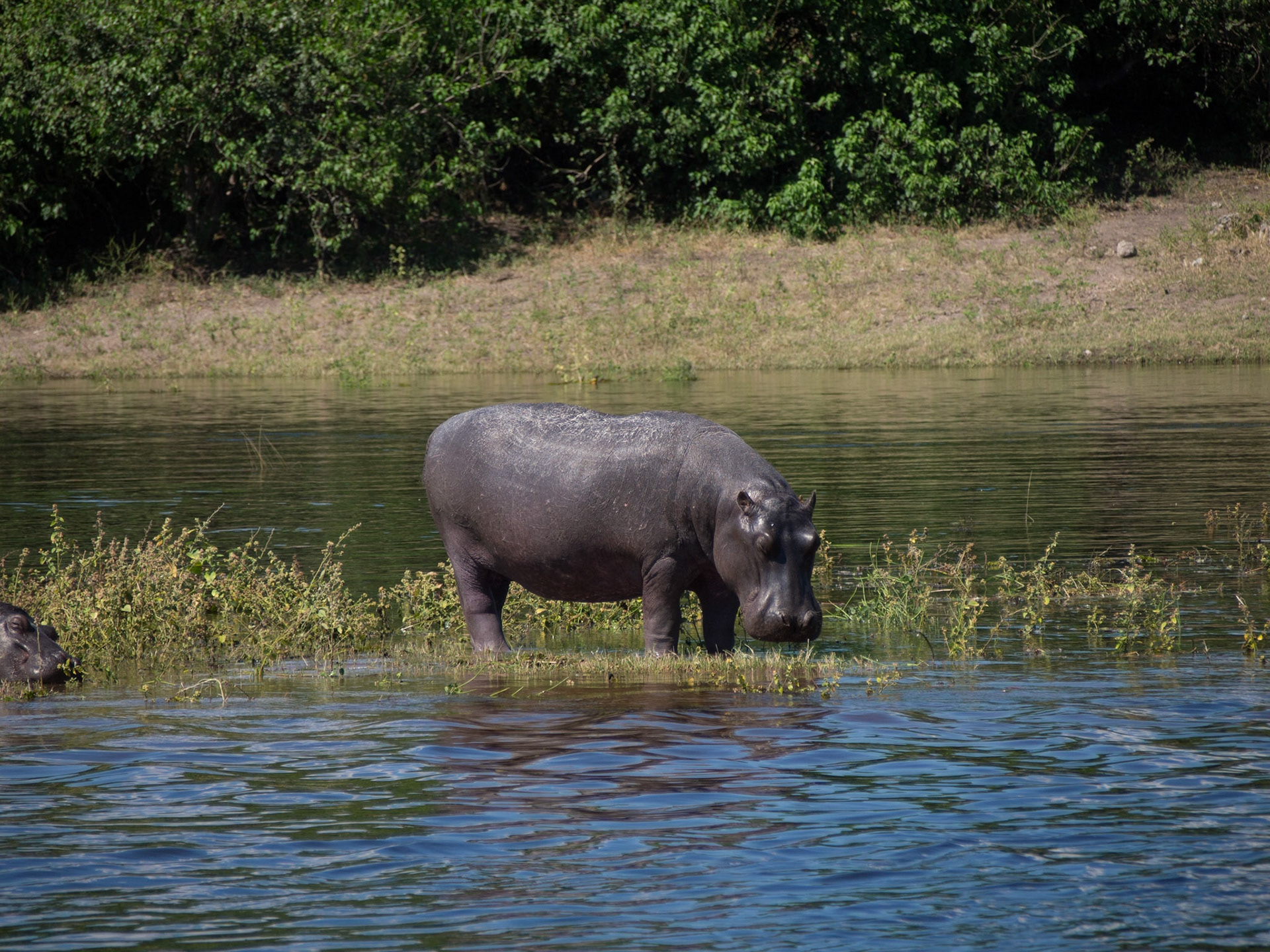 , North West, Botswana [Apr 2014]