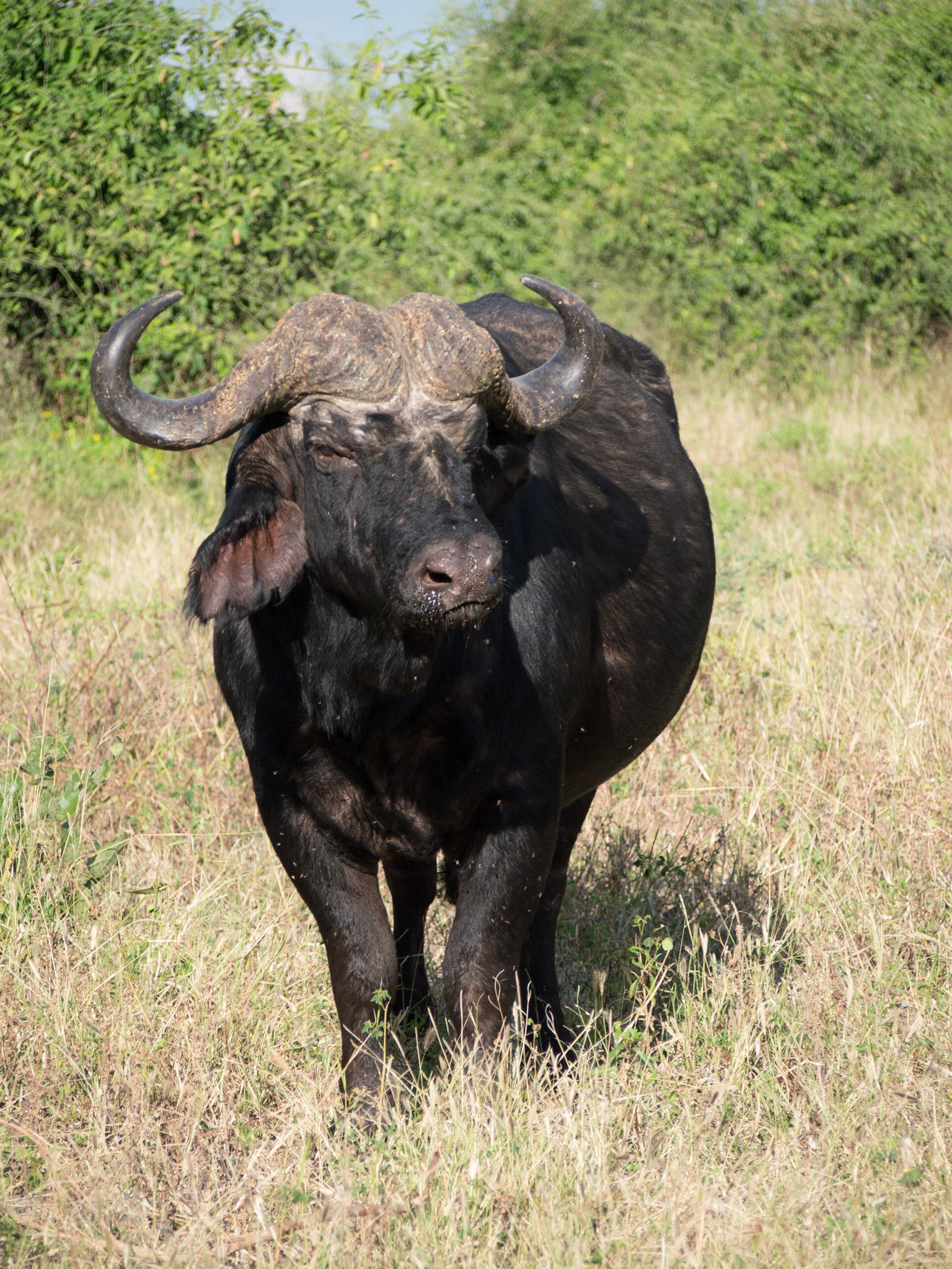 , North West, Botswana [Apr 2014]