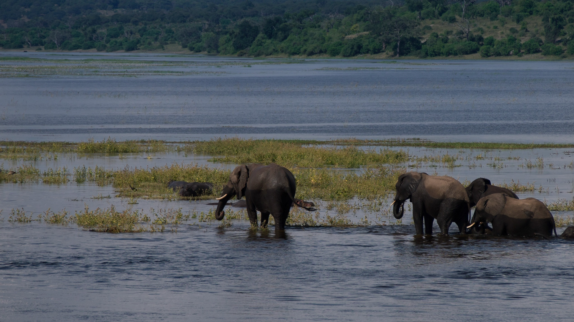 , North West, Botswana [Apr 2014]